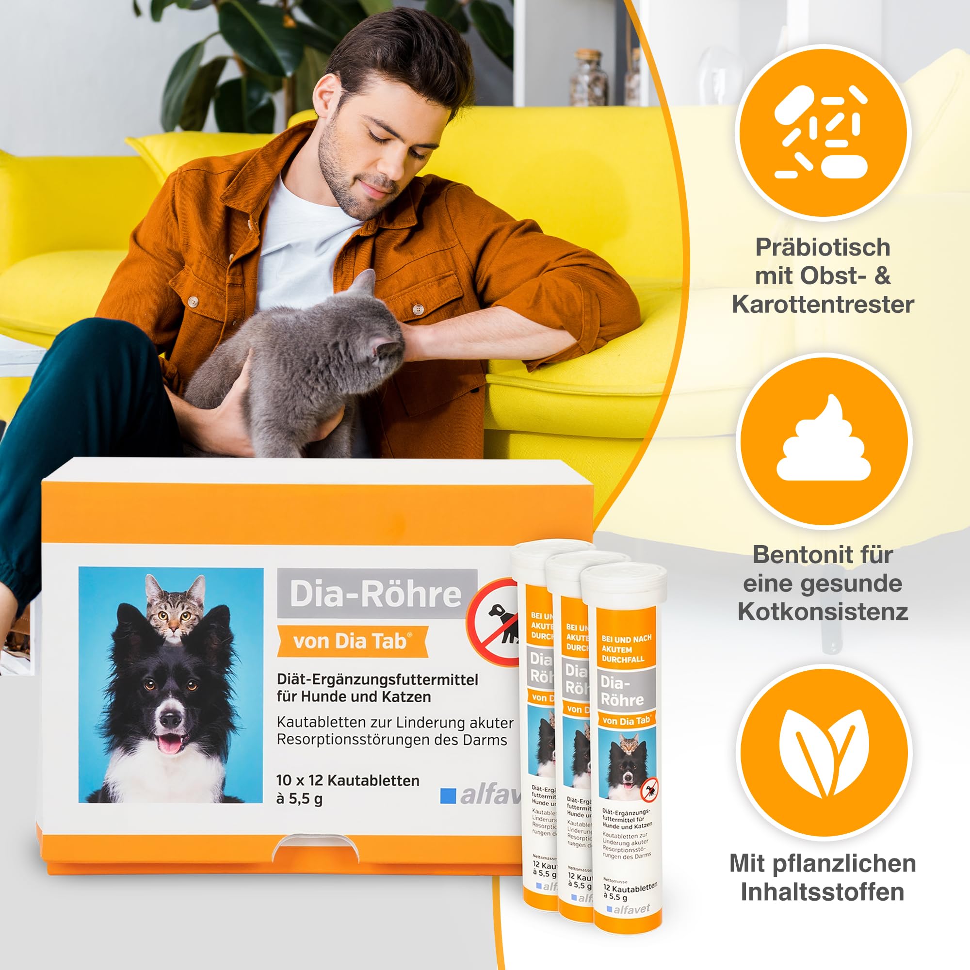 alfavet Dia Tab Tubes 2 x 12 x 5,5 g – Complément alimentaire diététique pour chiens et chats – Comprimés à croquer en cas de diarrhée – Avec bentonite et ingrédients végétaux pour réguler la
