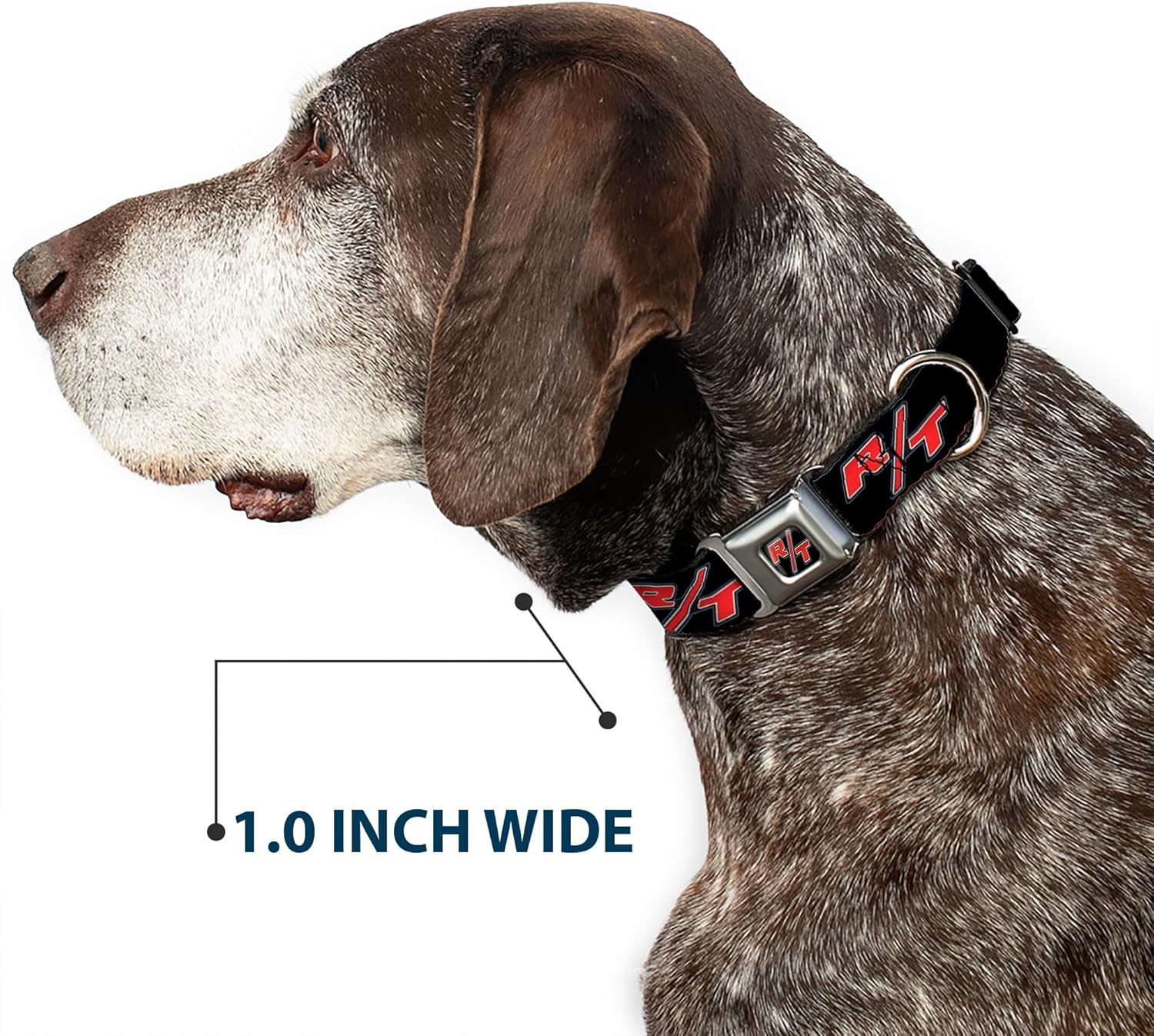 Buckle-Down DC-WCL012-WL 18-32" "CLL-Dodge Challenger R/T Emblem Full Color Black/White/Red" Dog Collar, Wide Large