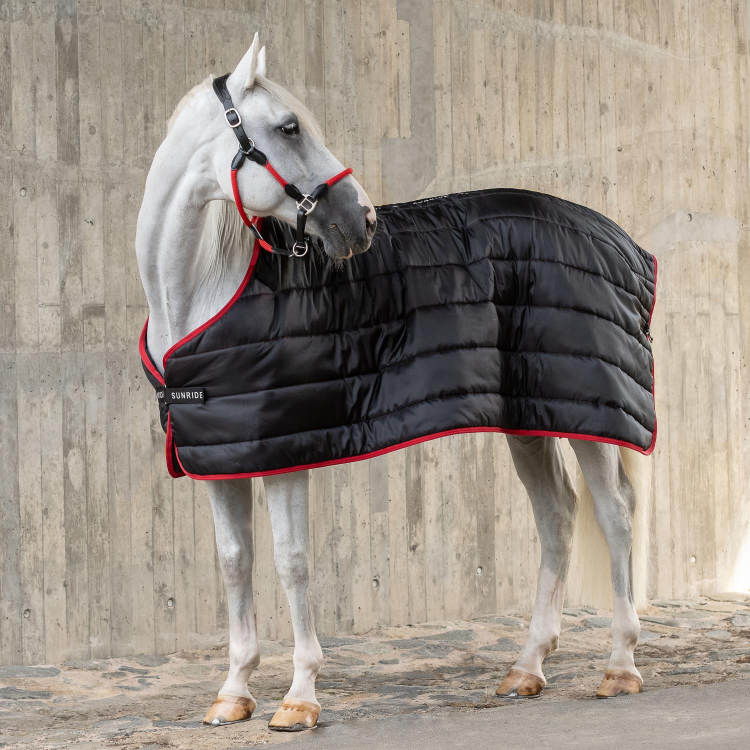 SUNRIDE Unterdecke für Pferde 300g - flexibel kombinierbar mit unseren Winterdecken und Regendecken (155 cm)