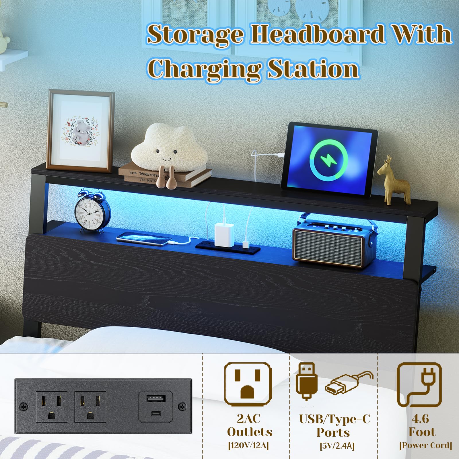 https://m.media-amazon.com/images/I/81iu2-x0KKL.jpg