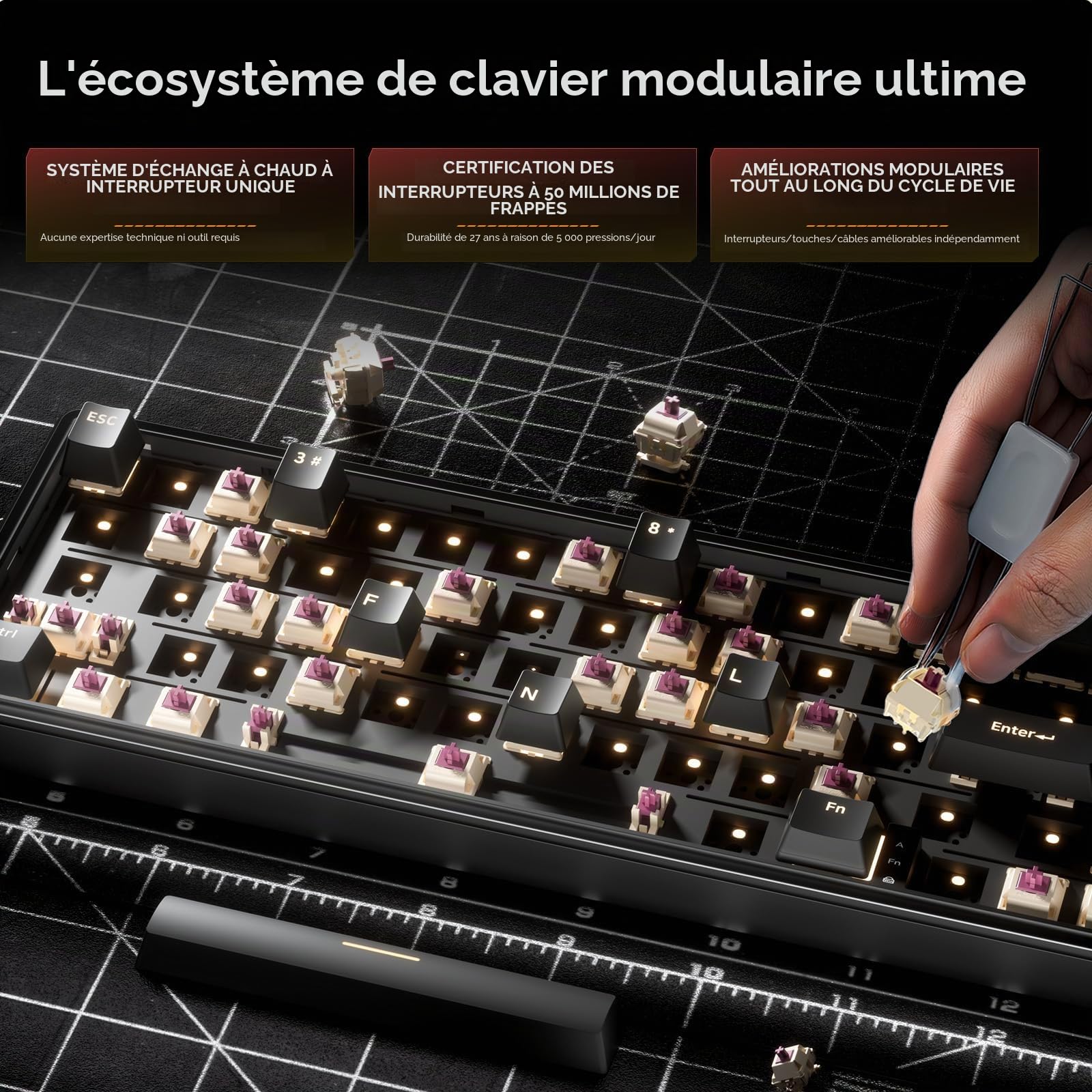 Dierya DK68E Clavier Gamer, Clavier Mécanique Gasket 60% avec Bouton Volume, RGB Hot Swap Switches Crémeux Linéaires, Compact 66 Touches Anti-Ghosting, Layout QWERTY-US (Noir)