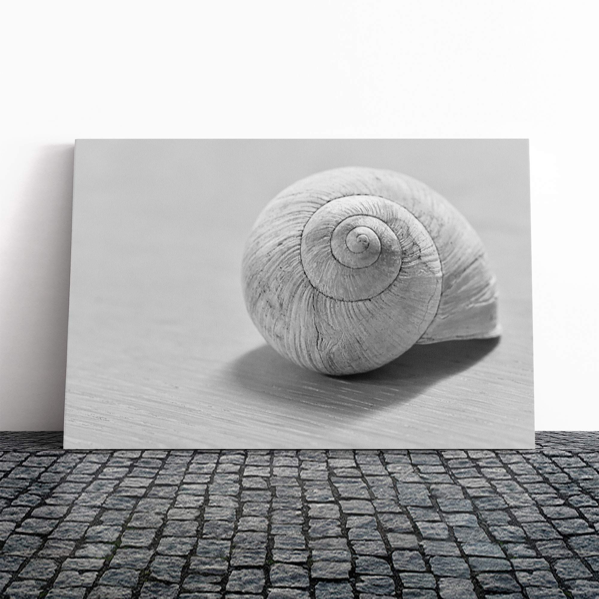Snail Shell (2) Canvas Print | Gallery Wrapped 30mm Frame Wall Art | 30x20 inches | Ready to Hang | Modern Animals Picture | Living Room Bedroom Lounge Office