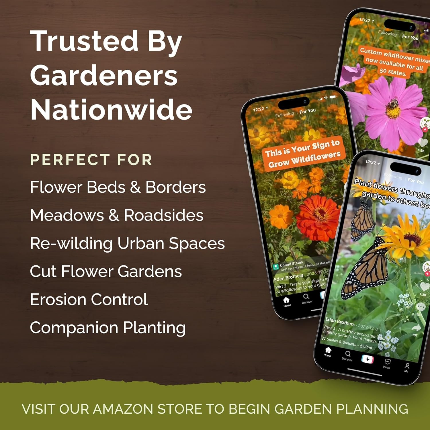 Eden Brothers Zinnia Seeds - Cactus Flowered, Non-GMO Seeds for Planting, 1 lb | Low-Maintenance Flower Seeds, Plant During Spring, Zones 3, 4, 5, 6, 7, 8, 9, 10