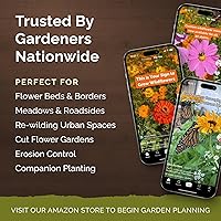 Vista 5 de Eden Brothers - Semillas de zinnia, cactus con flores, sin OMG, plantar en primavera, paquete, flores de bajo mantenimiento, zonas 3, 4, 5, 6, 7, 8