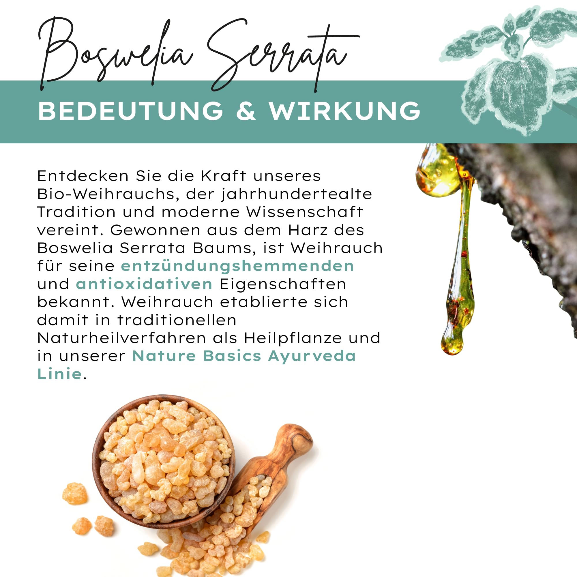 Bio-Weihrauchkapseln hochdosiert & zertifiziert nachhaltig im Glas / 65% Boswelliasäuren / 180 Kapseln mit je 500mg Bio-Boswellia Serrata/Ayurveda/reines & laborgeprüftes Bio-Weihrauch Extrakt