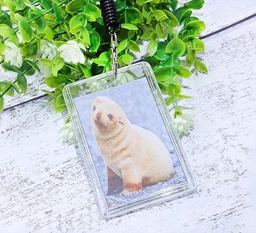 Miniatura 6 de Mini Skater Juego de 3 fundas acrílicas para tarjetas, con resorte elástico en espiral, llavero de plástico duro transparente, protector para