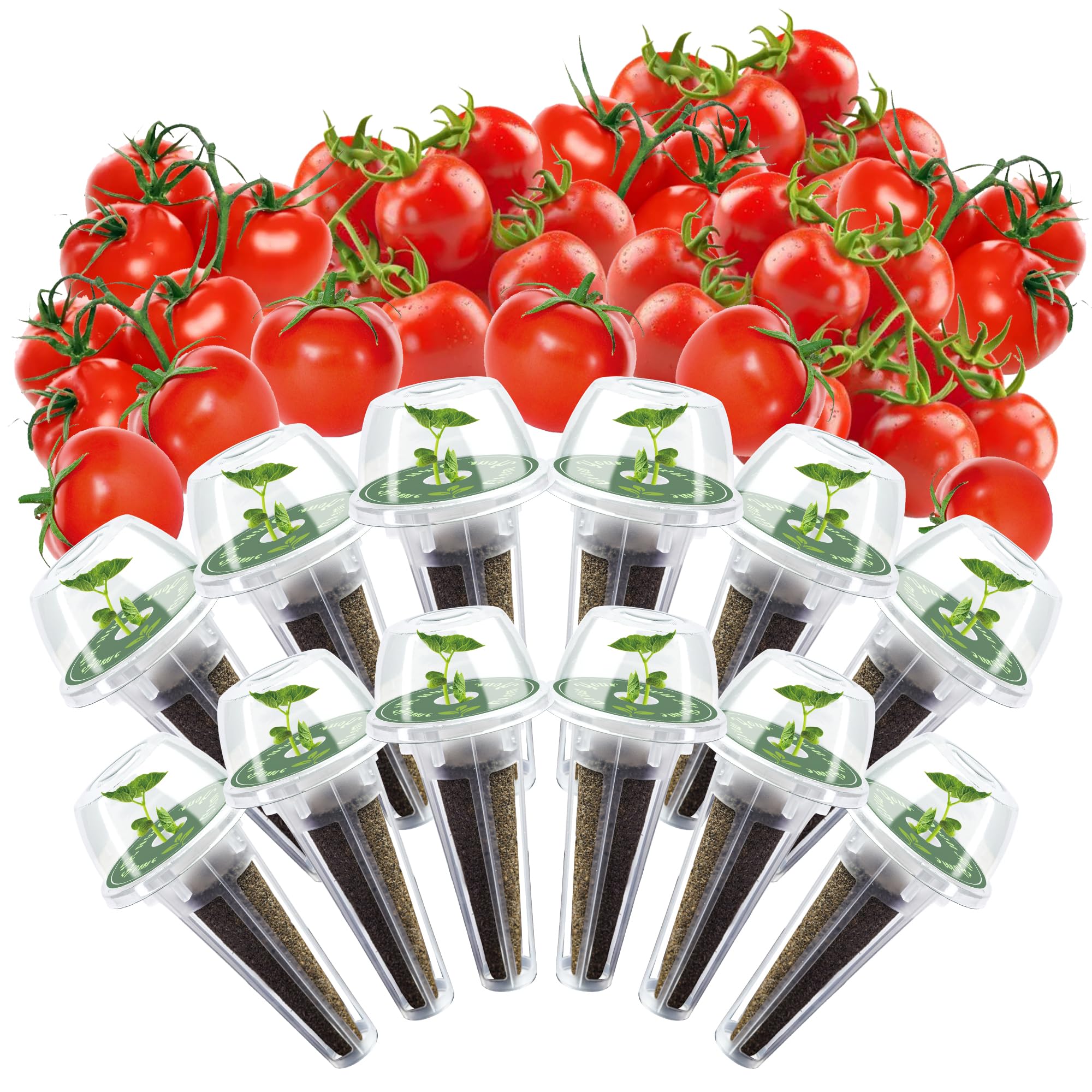 HiHOYA 12-Pod Cherry Tomato Kit