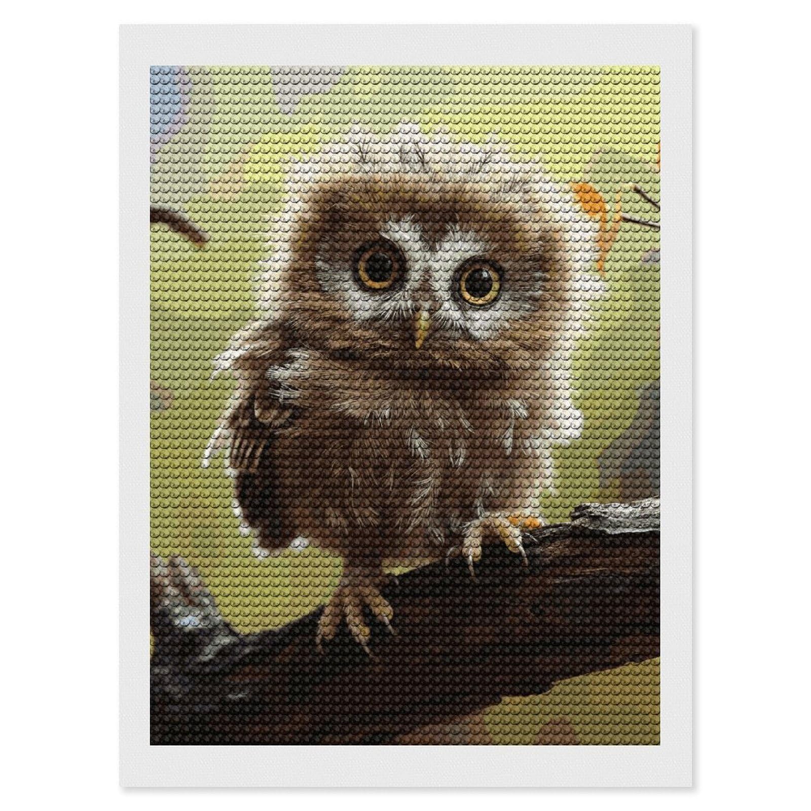 FodPand Real Cute Owls Diamond Painting Kits for Adults Beginners 5D Round Drill Diamond Art Kits with DIY Tools Gem Art Crafts for Home Wall Decor Living Room Bedroom Office Decoration 12x16
