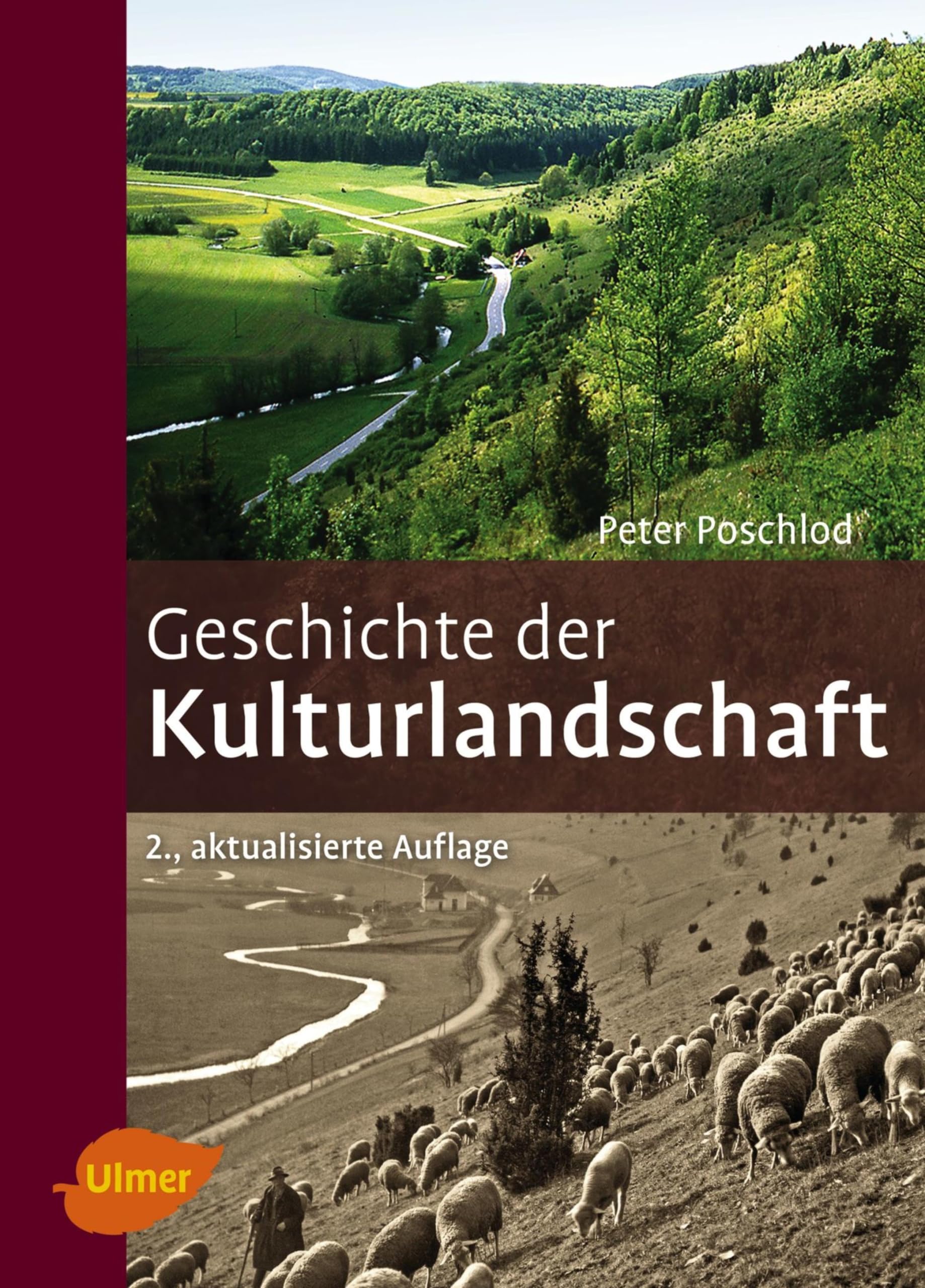 Geschichte der Kulturlandschaft: Entstehungsursachen und Steuerungsfaktoren der Entwicklung der Kulturlandschaft, Lebensraum- und Artenvielfalt in Mitteleuropa