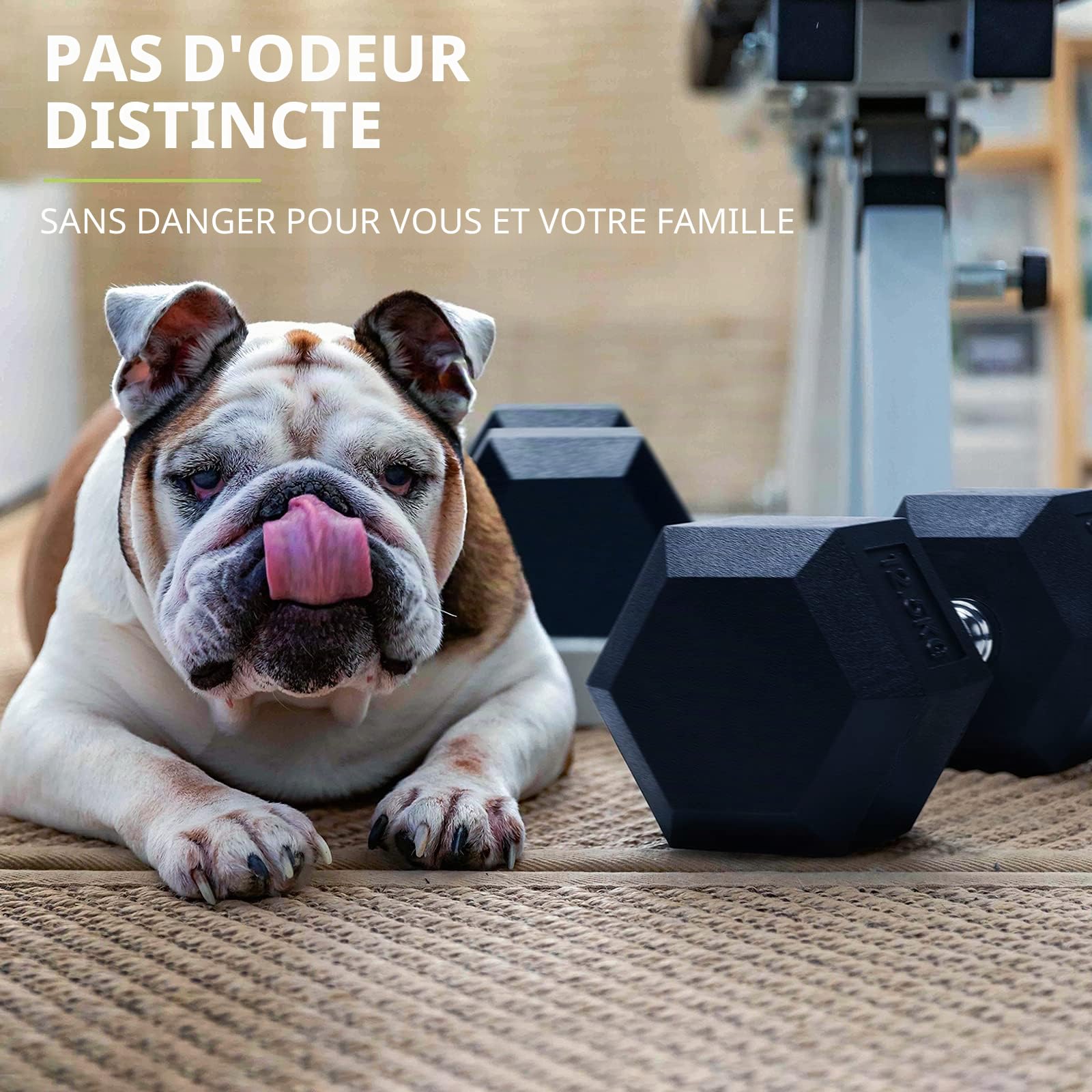 PhysKcal haltères hexagonaux en PVC et fer inodore 2,5 kg~30 kg, poids à main pour la salle de gym à domicile, la musculation et l'entraînement croisé, haltères pour la presse du diable