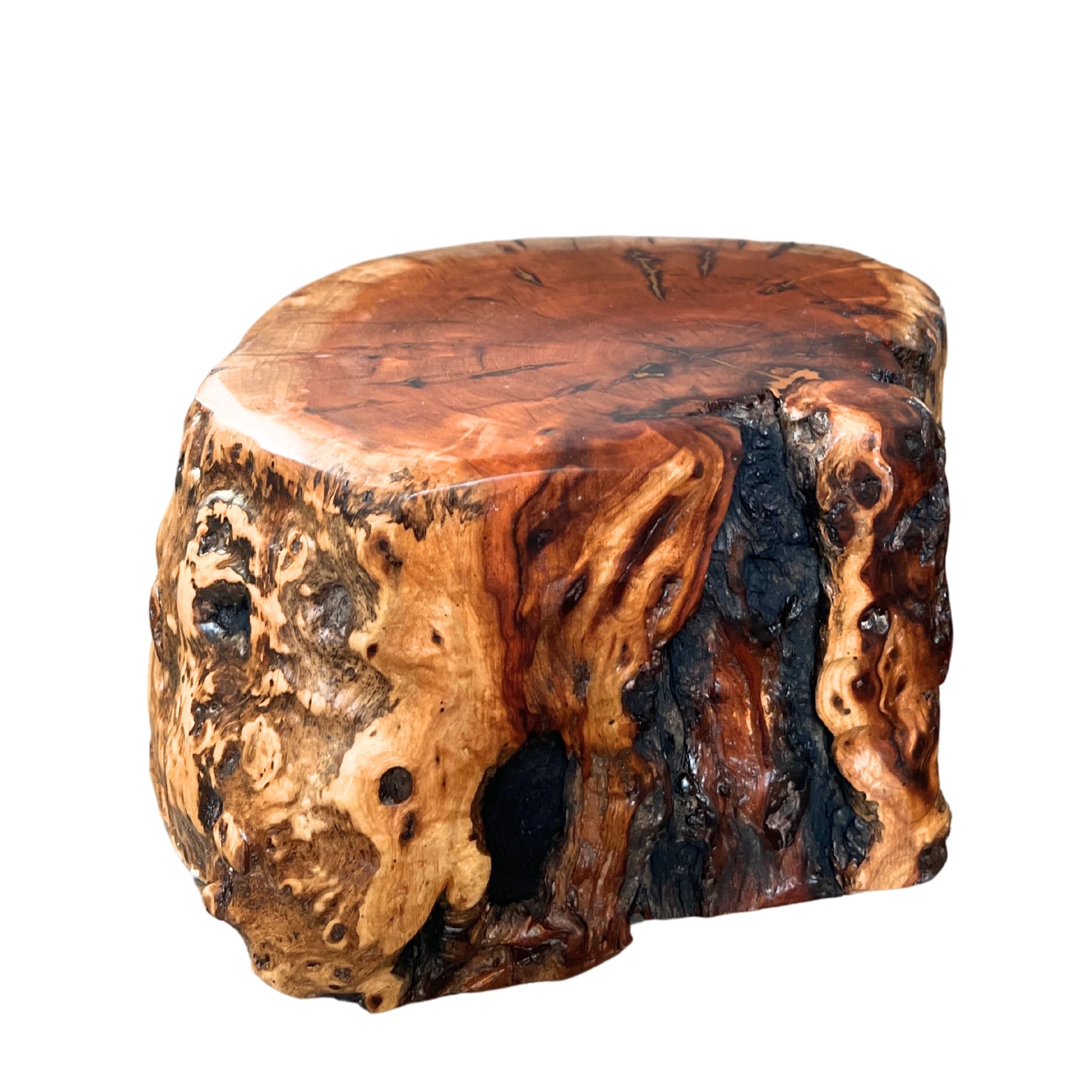 THY COLLECTIBLES Banqueta de tronco de árvore natural com suporte