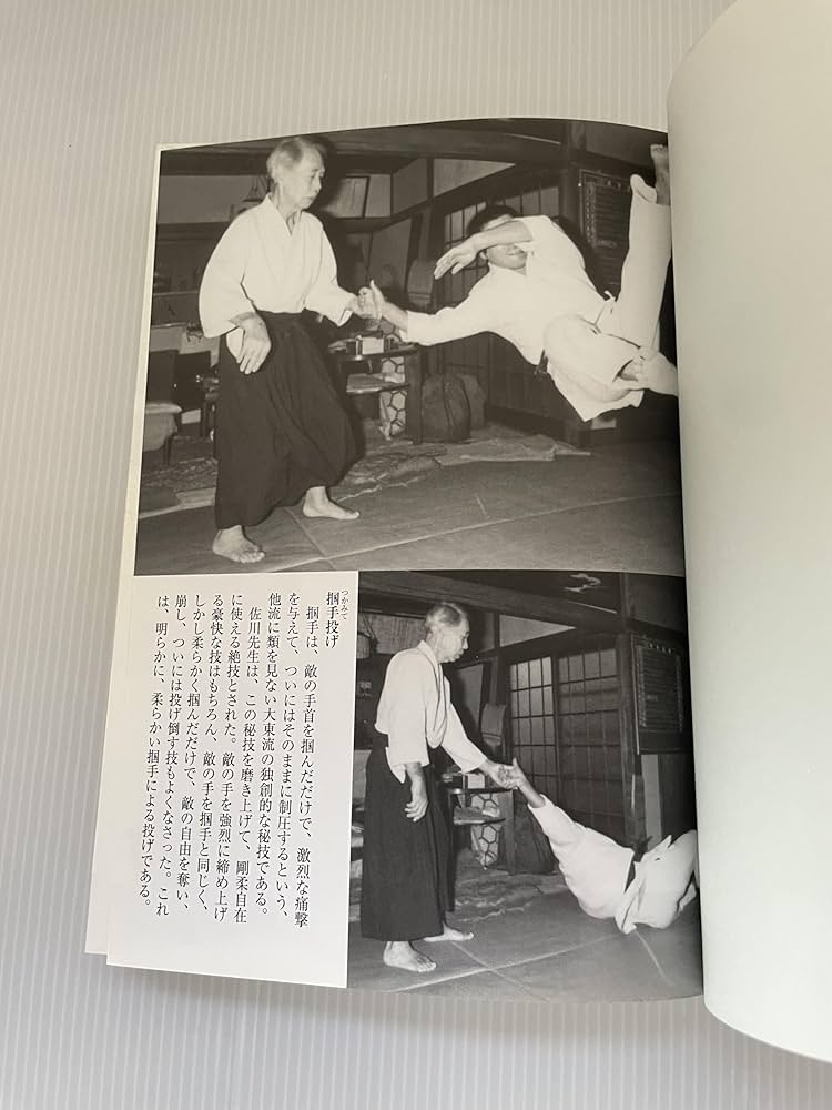 佐川幸義先生伝大東流合気の真実 大東流合気の真実 : 佐川幸義先生伝(高橋賢 著) / 高山本店