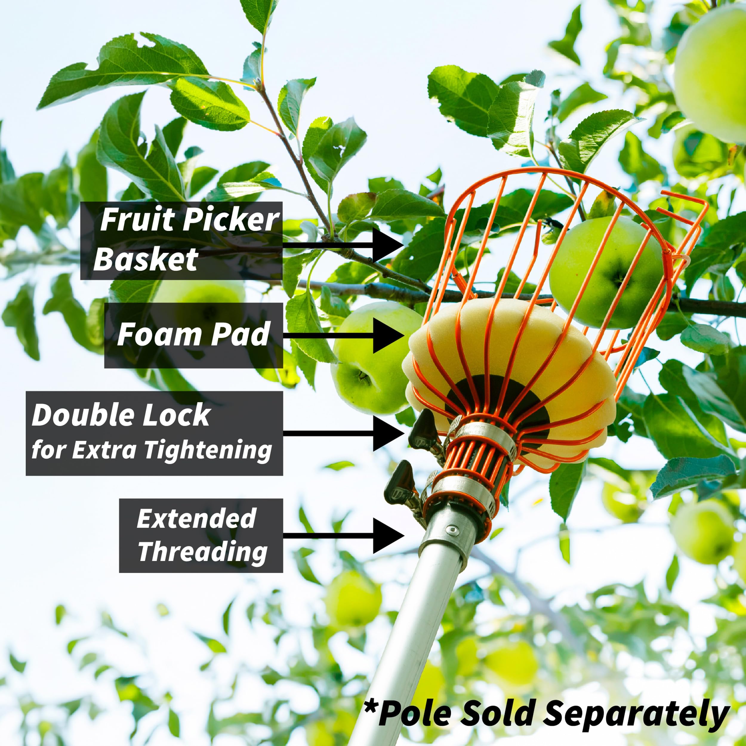 Extend-A-Reach Solo Cesta recolectora de Frutas // La Cesta recolectora de Manzana giratoria Solo se Adapta a Poste de extensión estándar Acme // Herramienta de Recogida de árboles frutales para