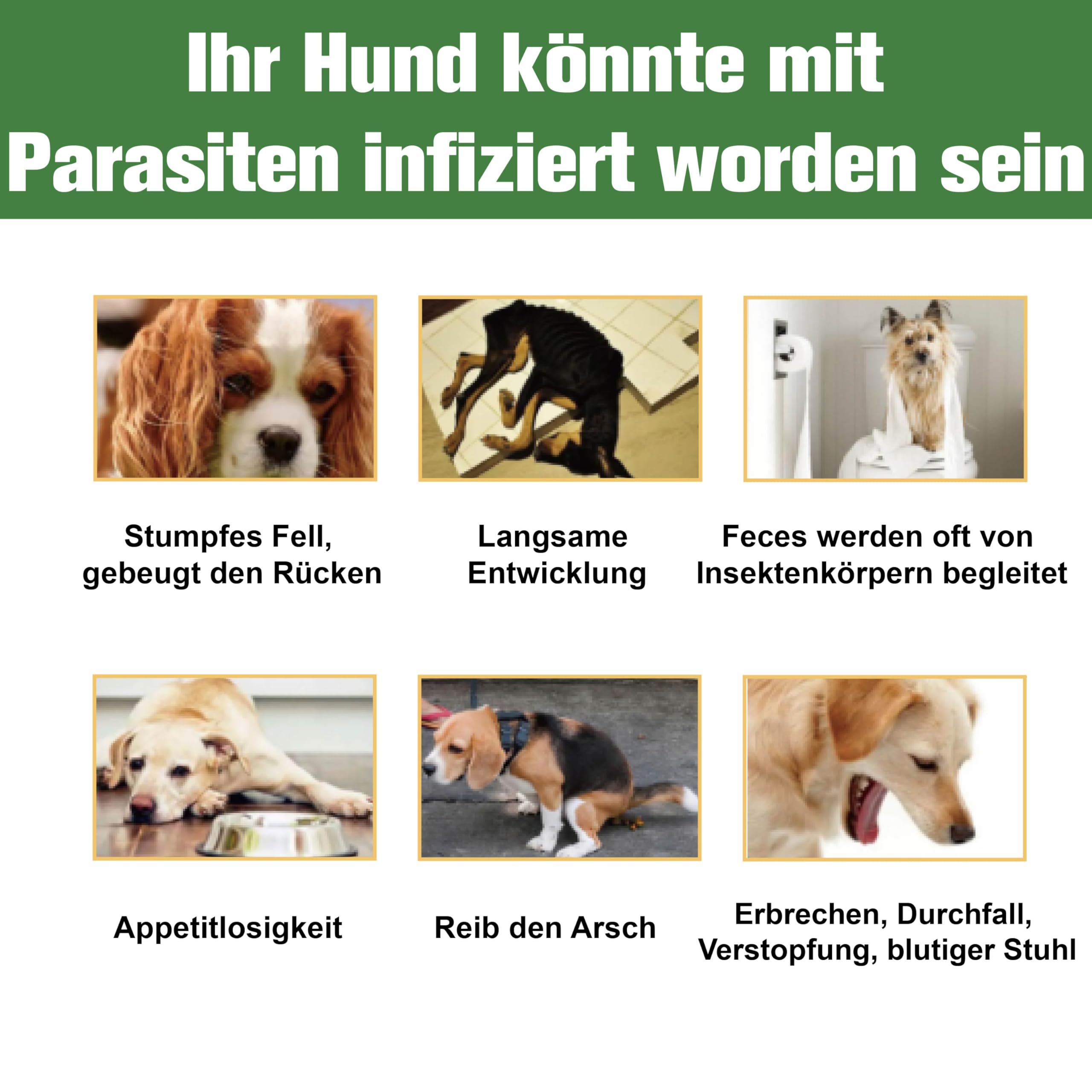 Zeckenschutz für Hunde 6 Pipetten, Spot On Hund, Zeckenmittel für Mittlerer Hunde 10 bis 20 kg, Hunde flohmittel entwurmungsmittel für Hunde, gegen Flöhe & Zecken