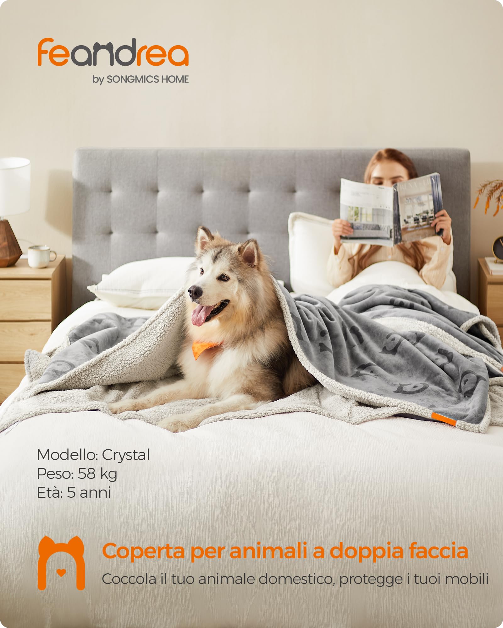 Feandrea Coperta Impermeabile per Cani, Coperta Animali Domestici in Sherpa per Cani di Extra Grande Taglia, Gatti, 229 x 203 cm, XXXL, Coprisedile Reversibile Lavabile in Lavatrice, Grigio PPB090G01