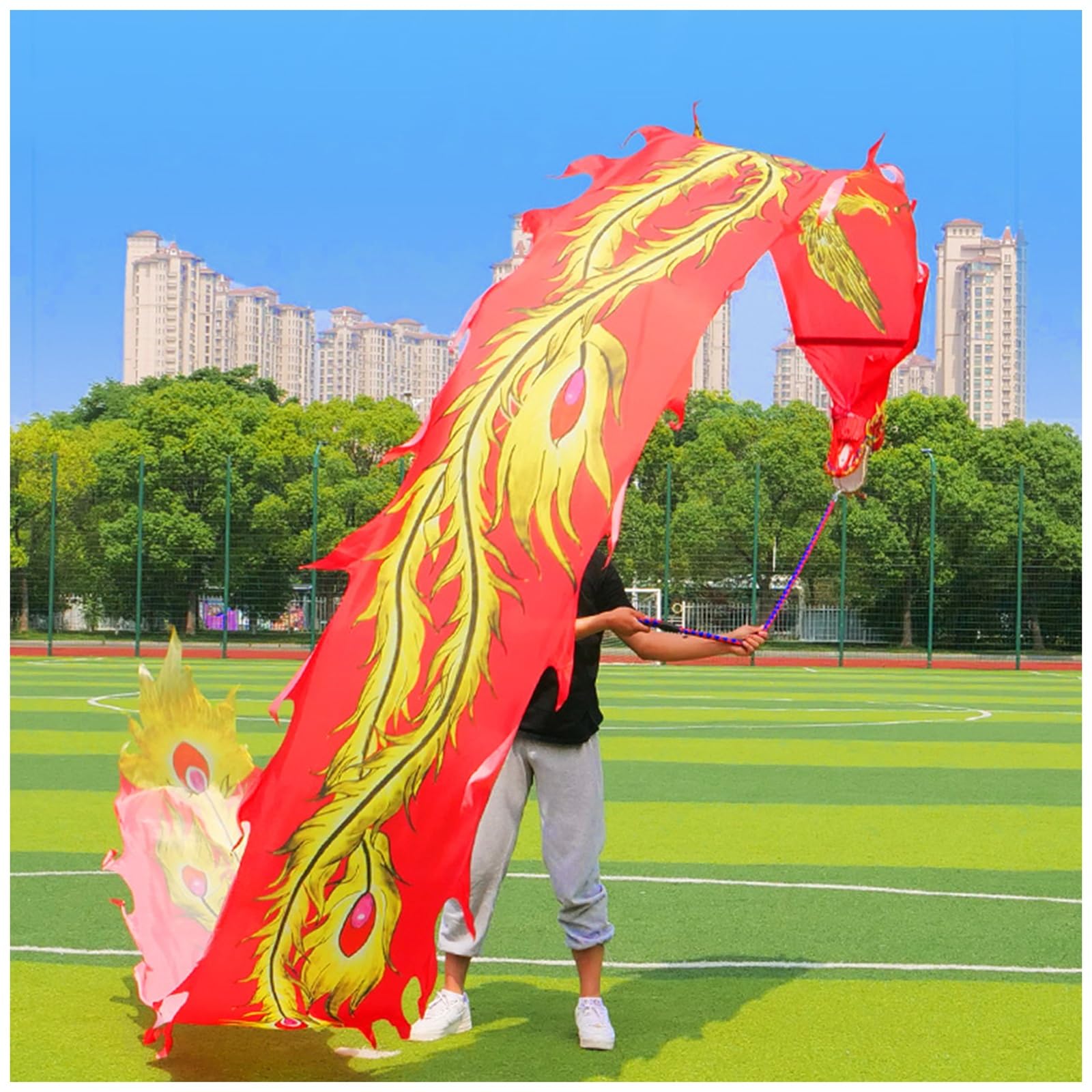 Dragon Poi Long Ruban Dragon Poi Avec Sac De Rangement, Poi