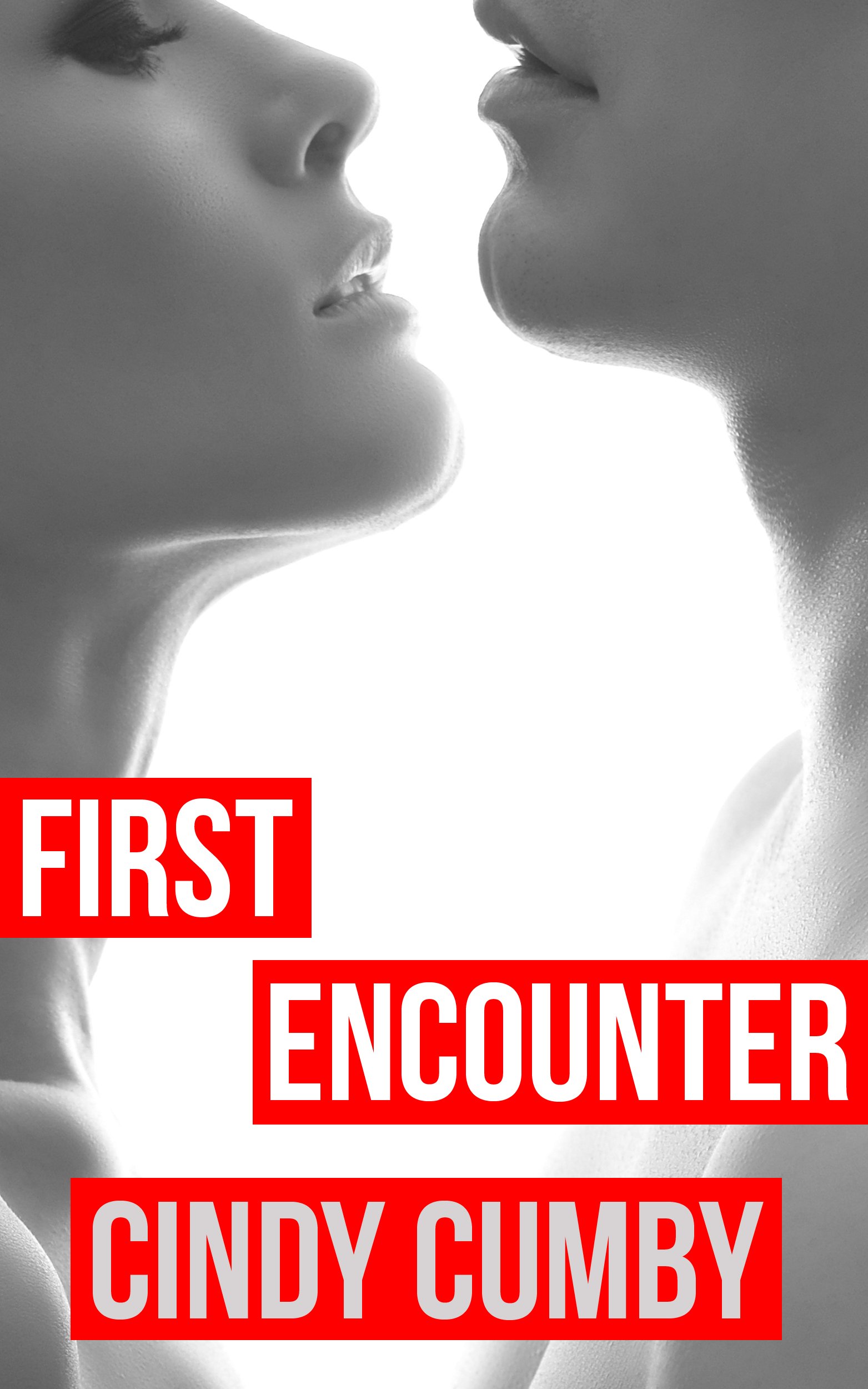 First Encounter (romantic bdsm erotica)