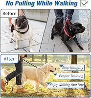 Vista 7 de Collar de punta para perro, collar de entrenamiento para perros con clip de liberación rápida, eslabones ajustables de acero inoxidable con puntas