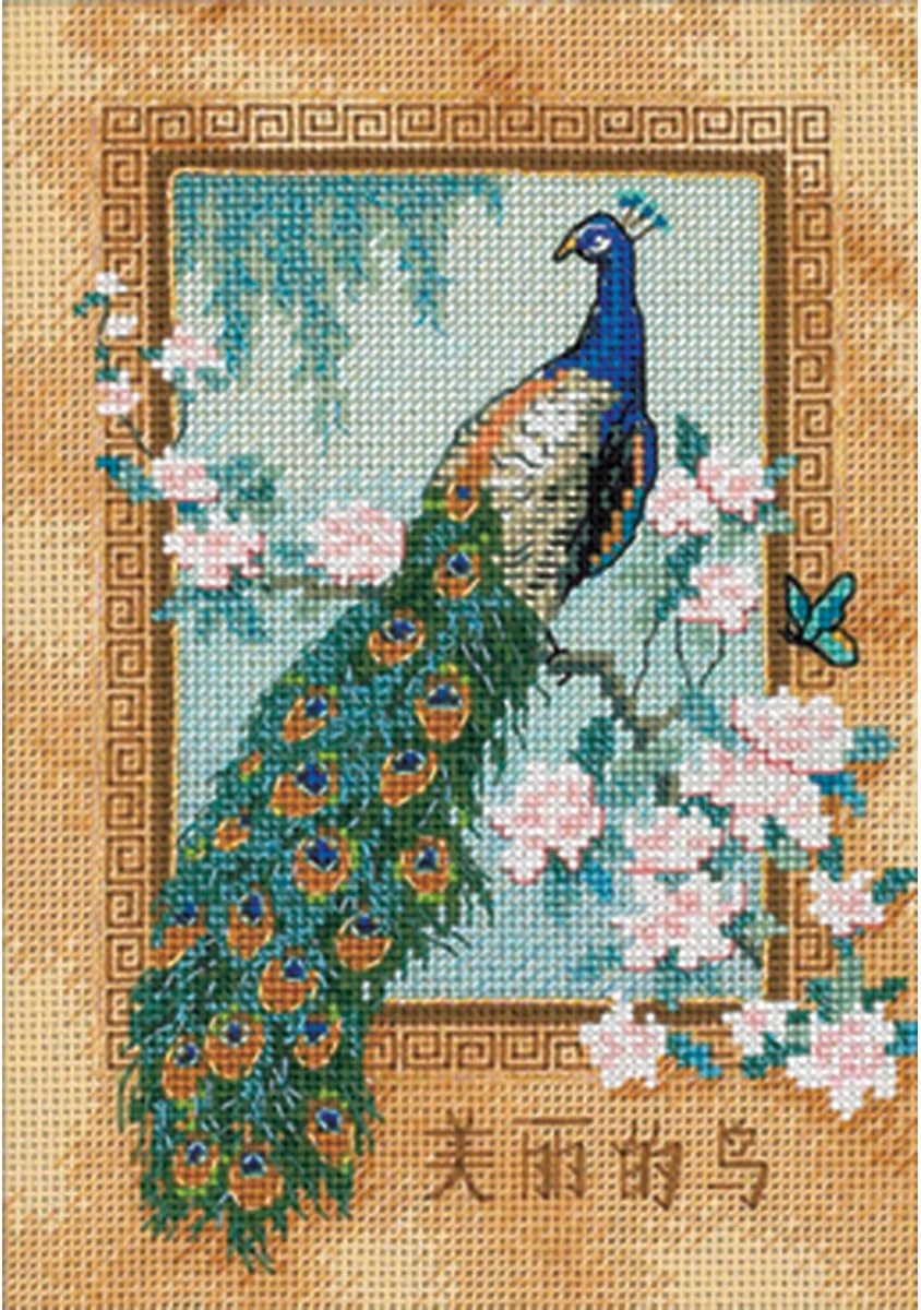 Dimensions Gold Collection Counted Cross Stitch Kit, Beautiful Peacock, 18 Count Beige Aida, 5'' x 7''