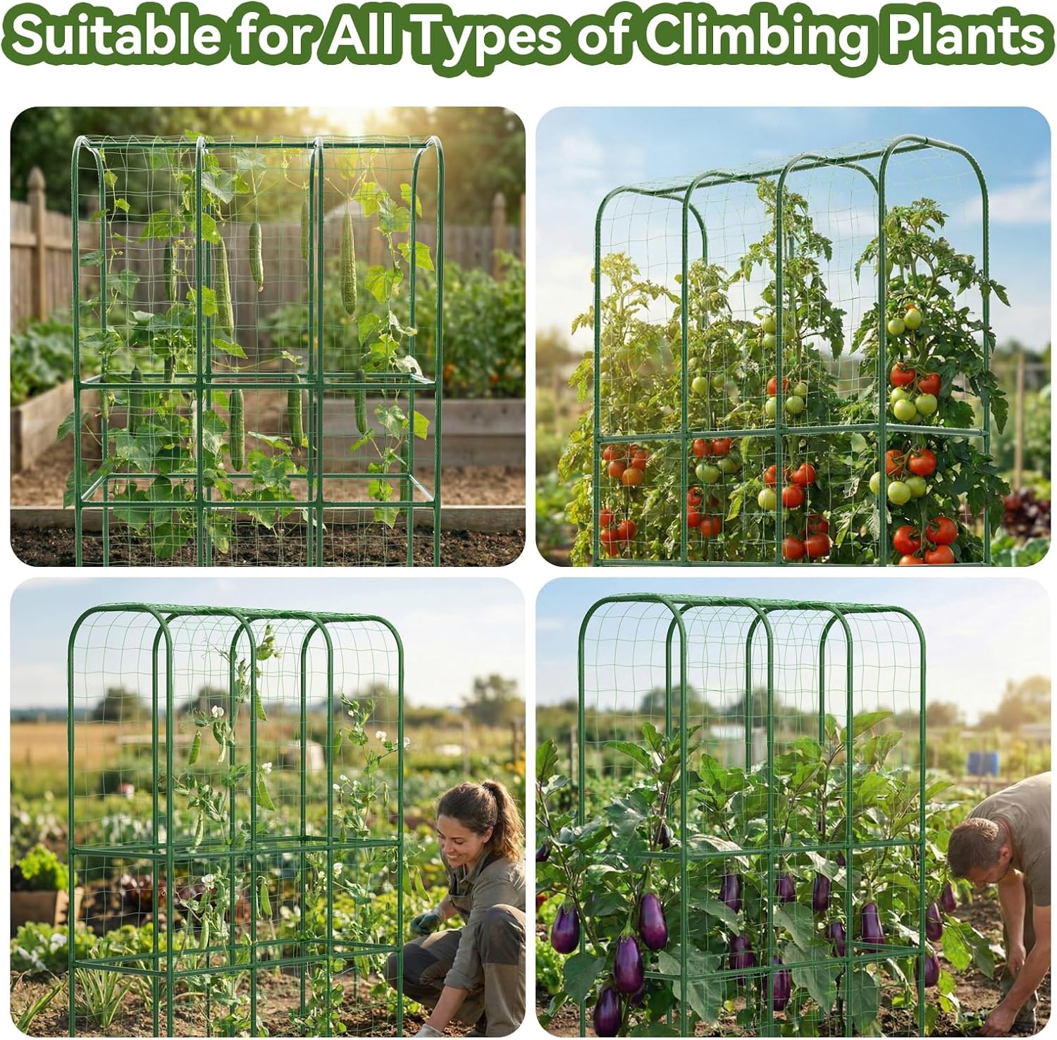 62" Tall Cucumber Trellis for Raised Bed, Garden Trellis for Climbing Plants Outdoor, U-Shape Metal Arch Vegetables Trellis Plant Support for Zucchini Squash Vines