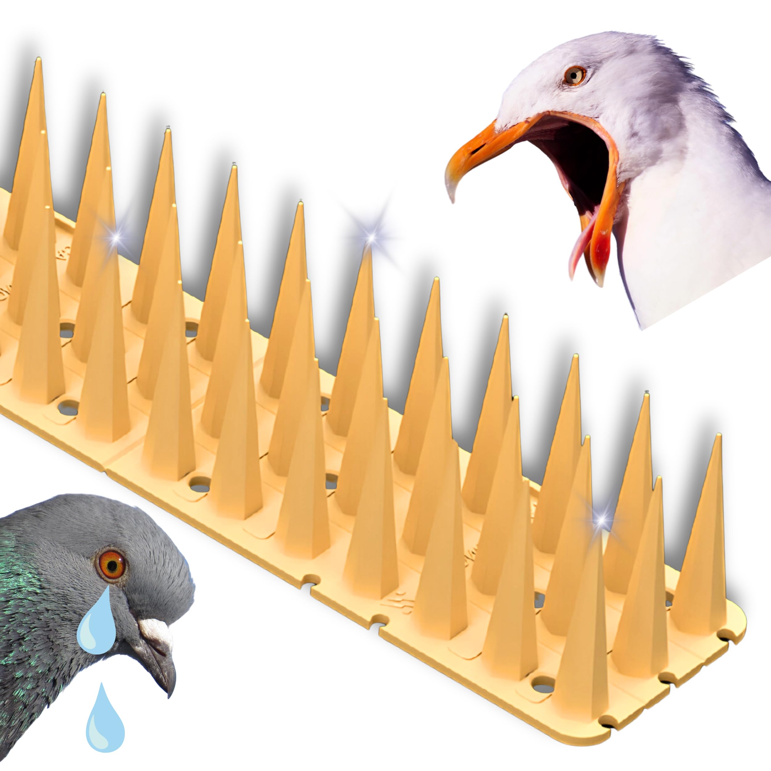 Spitze VOGELABWEHR/TAUBENABWEHR, DIE HÖCHSTEN VON 4 cm, ROSTFREI. (50, Beige)