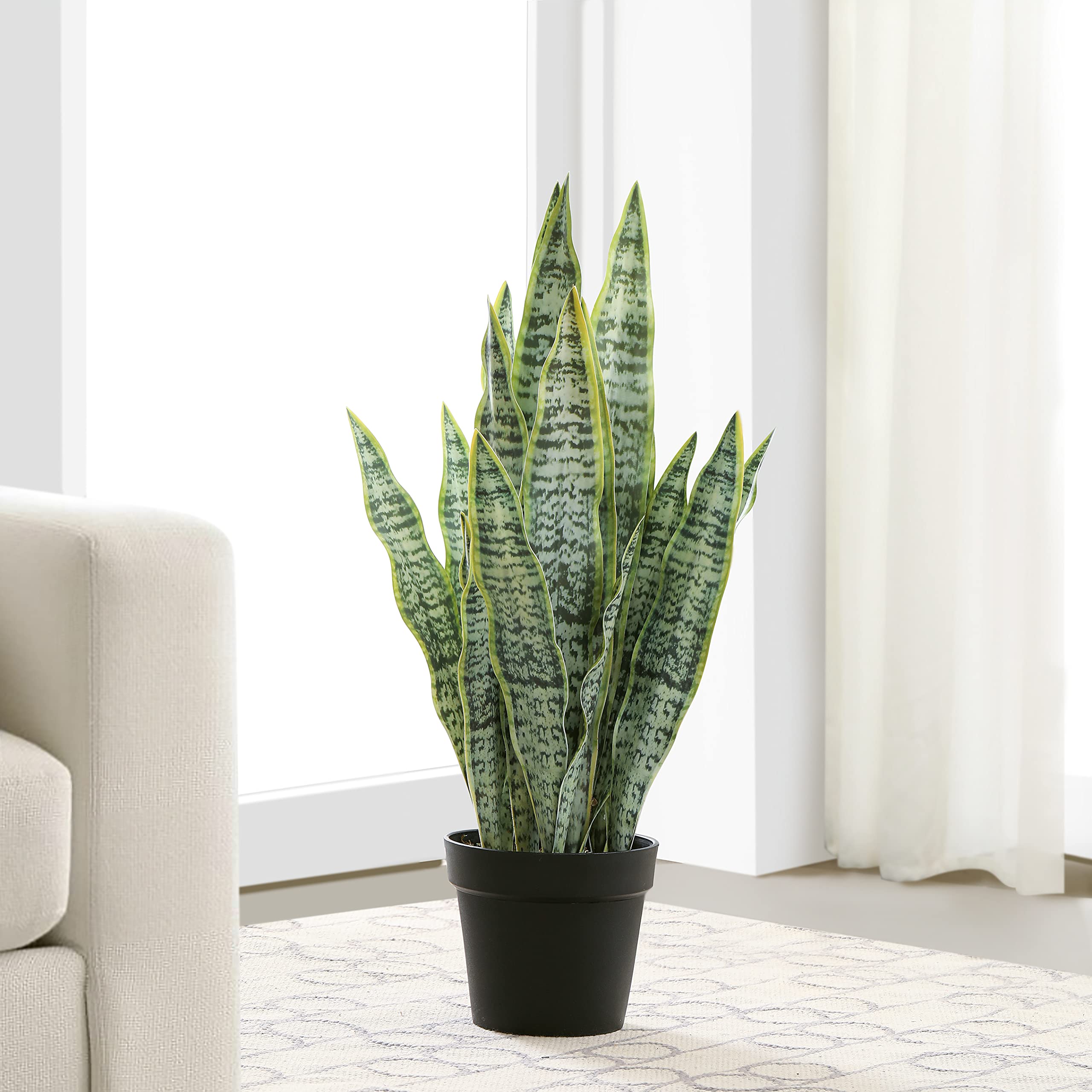 Photo 1 of *USED/SEE NOTES* QL DESIGN Artificial Snake Plant