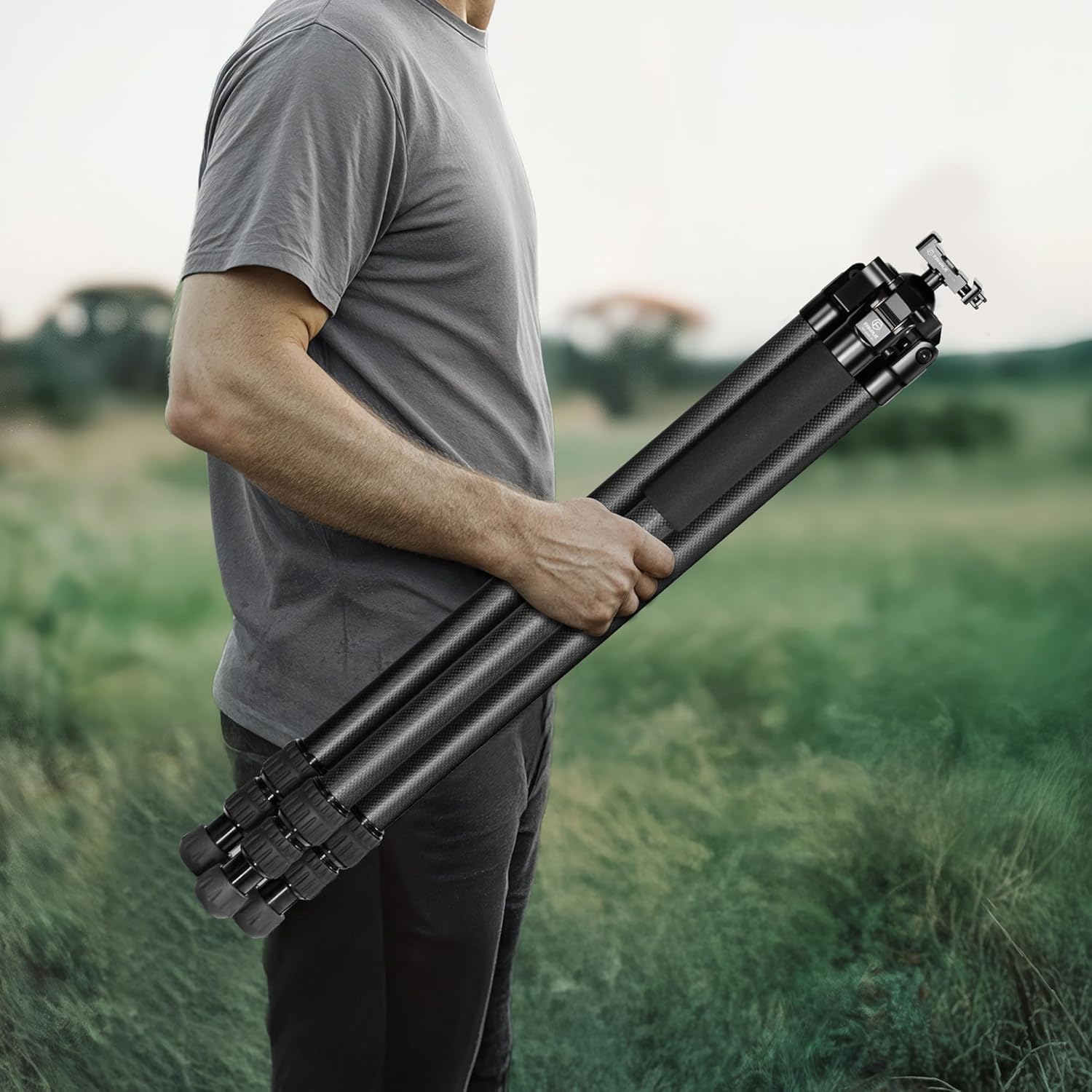 https://m.media-amazon.com/images/I/81iv-6cjpoL._AC_SL1500_.jpg