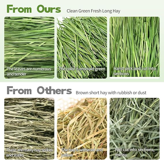 Oven-Baked Timothy Hay for Guinea Pigs, Rabbits & Chinchillas, All Natural High Fiber Food for Digestive Health, 1.1 LB