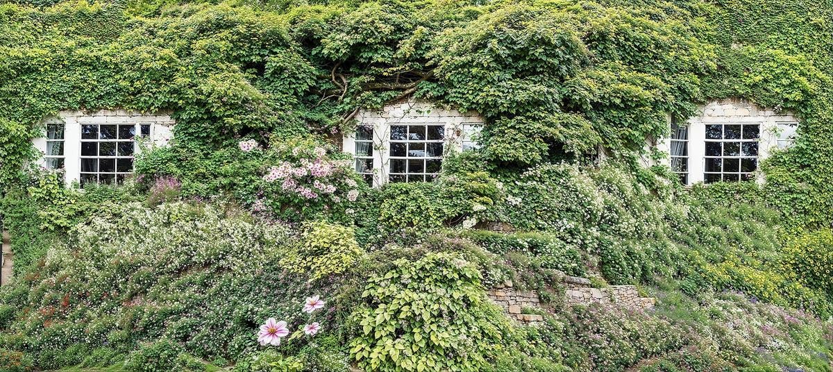 Waterproof Garden Wall Mural English Cottage Window with Blooming Pink Flowers and Green Vines, Outdoor Decorative Curtain for Fence and Patio W157.48 inches x H70.87 Inches