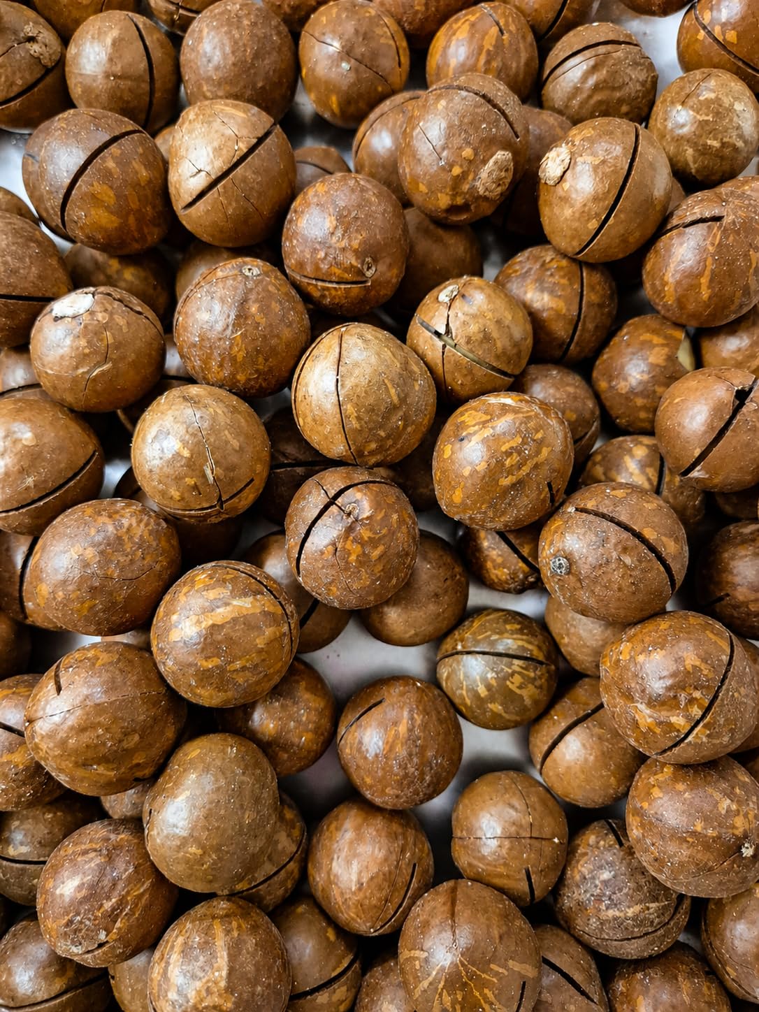 Noci Macadamia In Guscio Al Caffè 1Kg Frutta Secca Aromatizzata Snack Gourmet Croccante Tostato Premium Con Guscio Inciso Ideale Per Aperitivi Relax E Regalo Gourmet