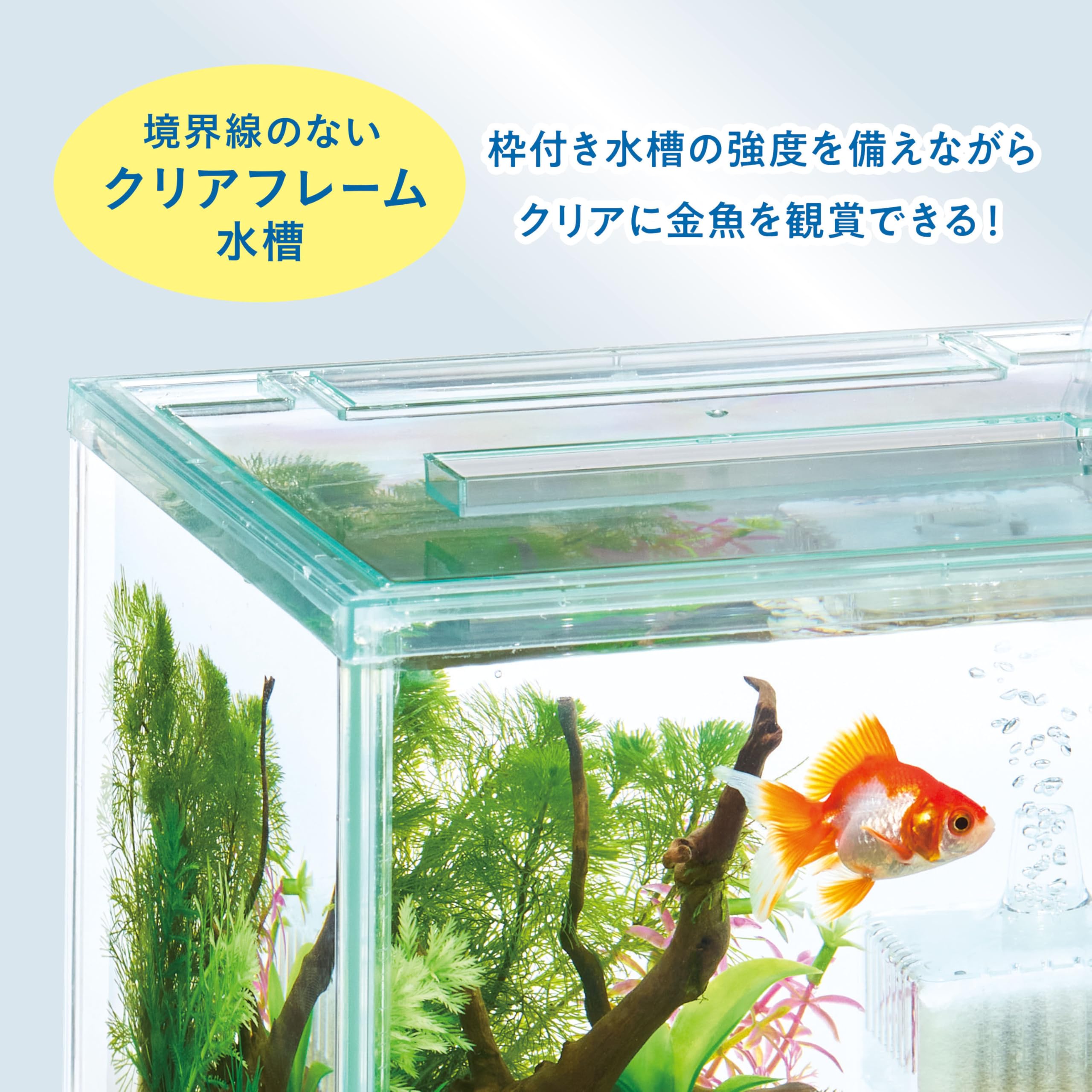 Amazon | ジェックス GEX 金魚元気 ぶくぶくクリアセット250CUBE