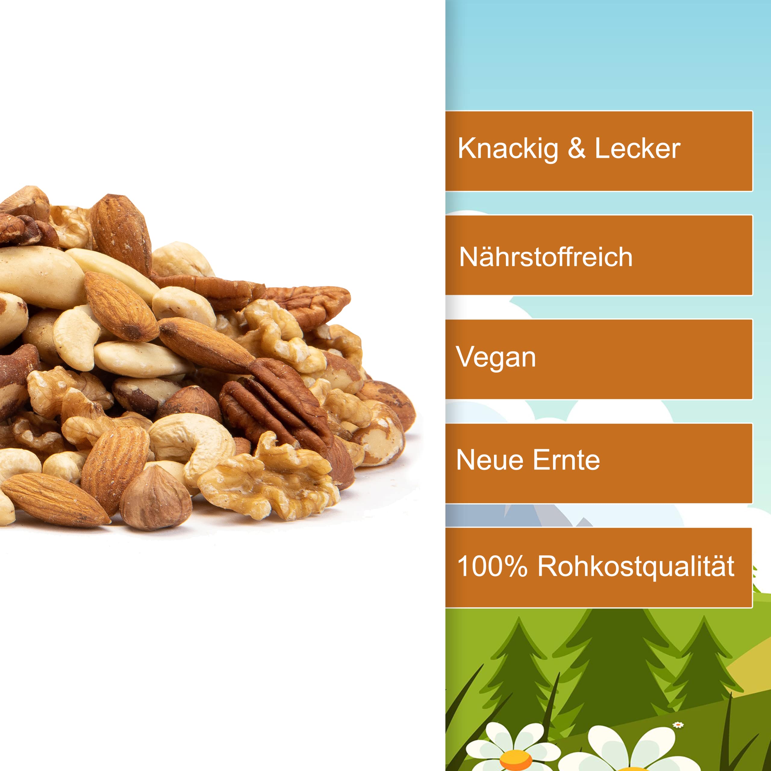 Nussmischung Natur - 3kg - Nuss Mix - 7 Sorten knackige Nusskernmischung - ungeröstet ungesalzen - Paranüsse Walnüsse Cashewkerne Mandeln Pekannüsse Haselnüsse Mandeln blanchiert - (3kg)