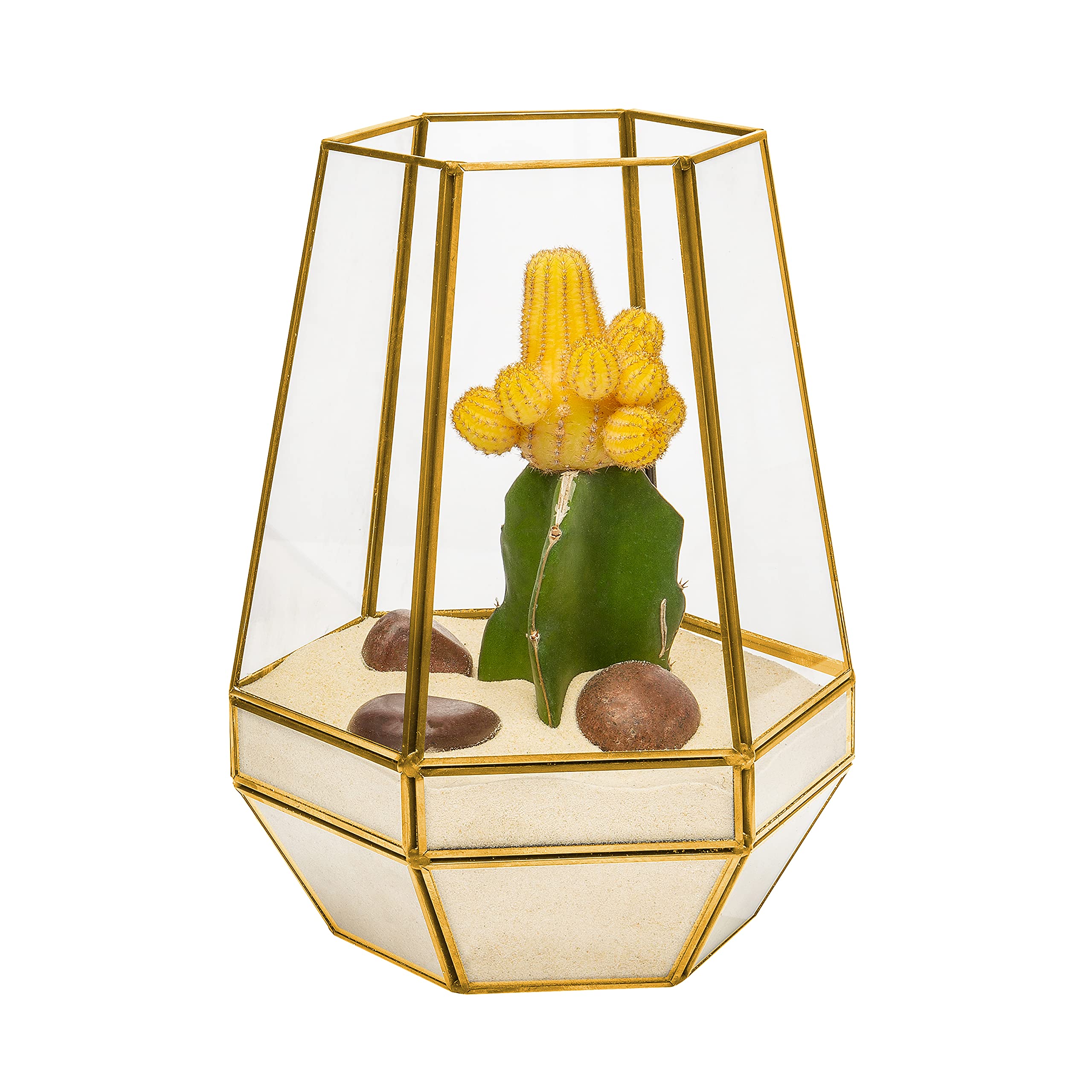 Golf Geometric Terrarium