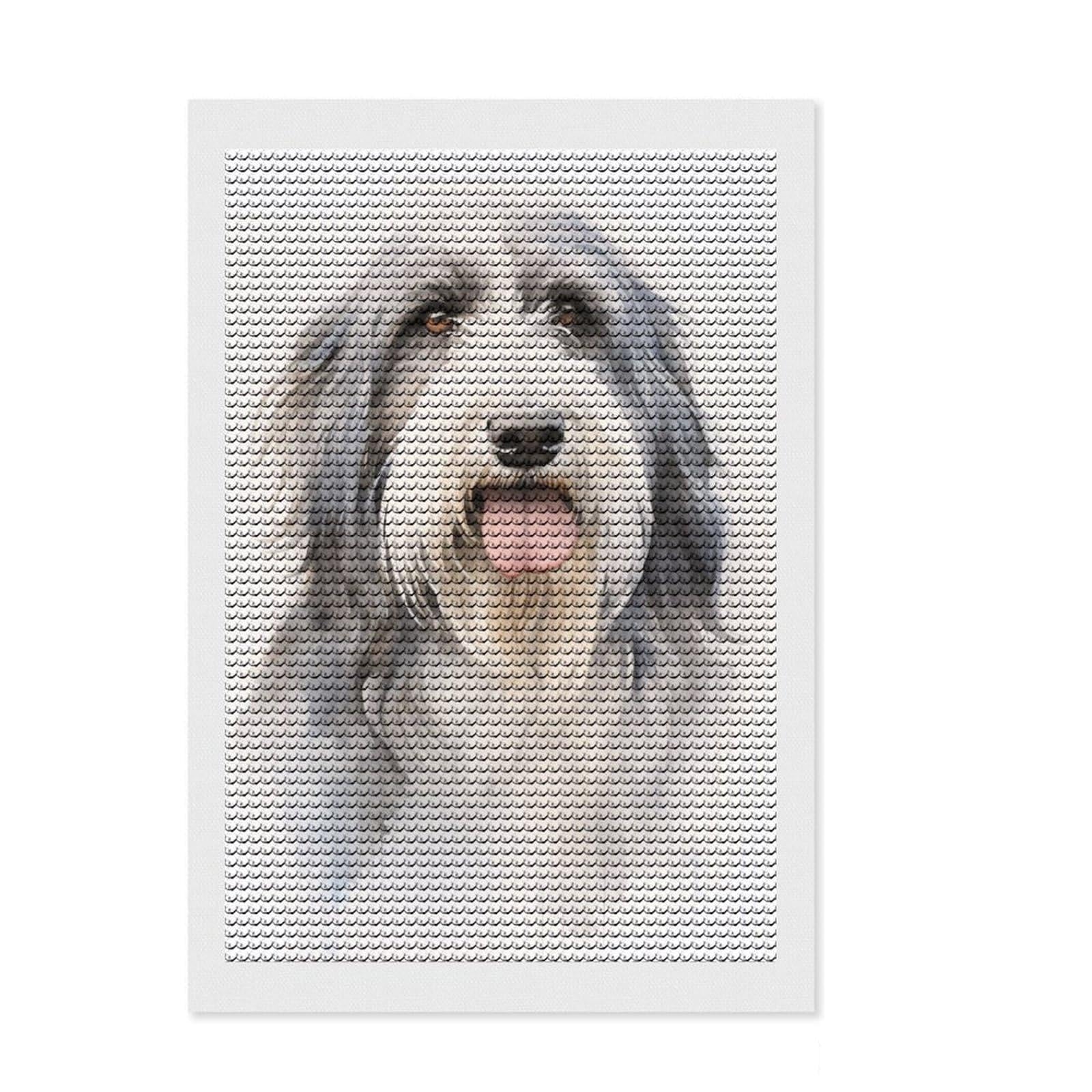Junmoney Bearded Collie Portrait DIY Diamond Art Canvas Kit 8"x12", Gift Idea, Relaxing DIY, Full Kit Included, Relaxing Handmade Project