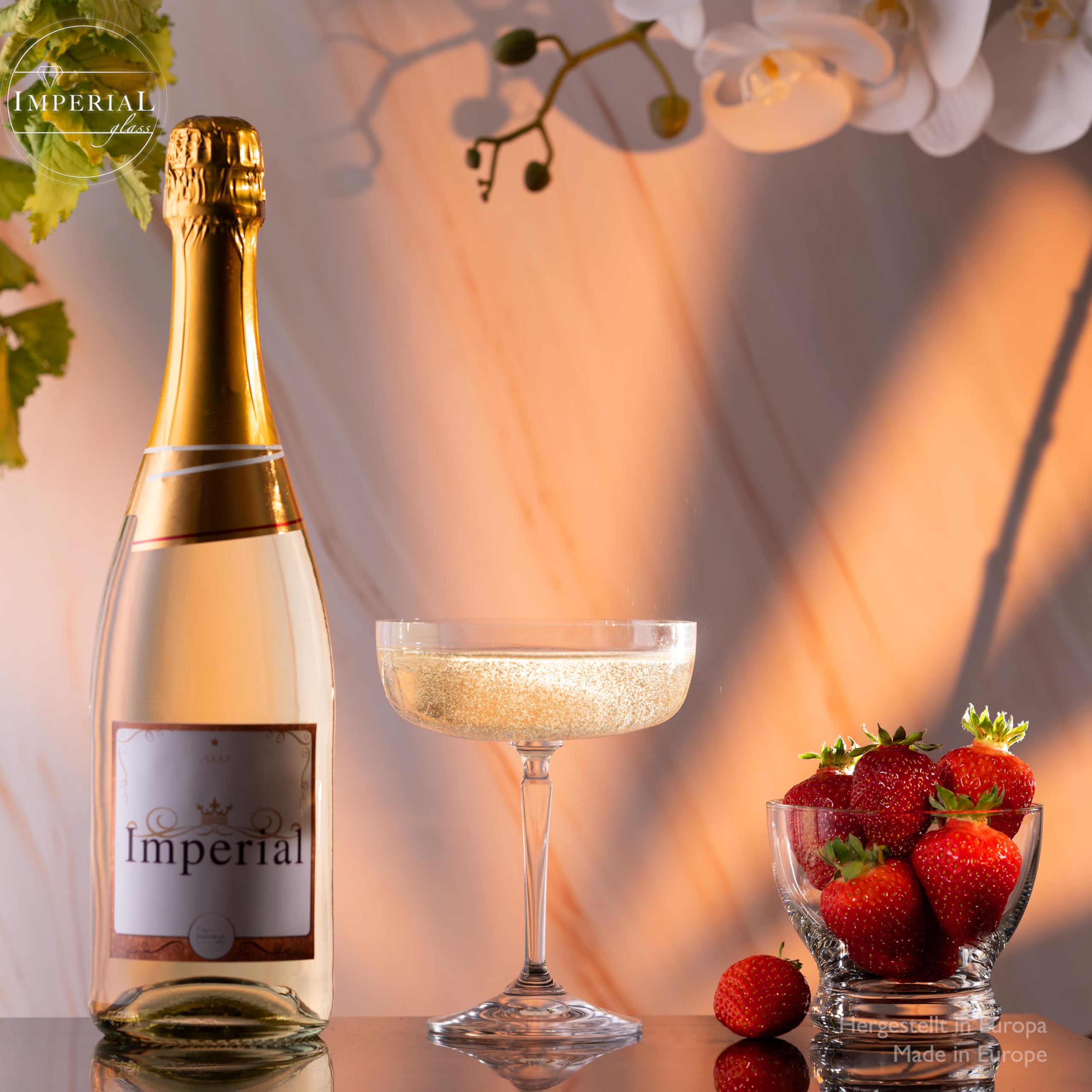 Rio Lot de 6 coupes à champagne carrées en verre Crystalline Passe au lave-vaisselle 260 ml