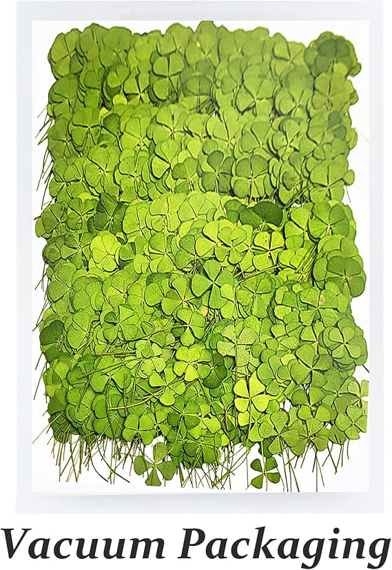 Dried Pressed Flowers Leaves, HEISENLIN 42PCS Real Natural Four Leaf Clovers for Art DIY Crafts Embellishment Decors Craft Resin Jewelry Card Making DIY Scrapbooking