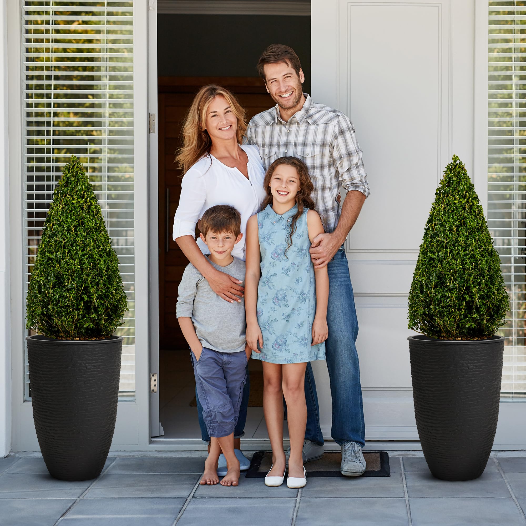 鉢・プランター backsideworks PLANTNIC LOVE2 BK14 Amazon.com: Live Lucky Bamboo 2 Stalk Arrangement in Round