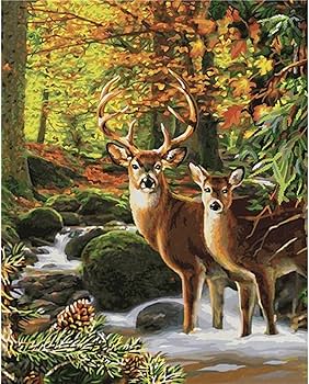 Amazon | 数字による数字での鹿の森の鹿の動物の絵の具キャンバスの絵