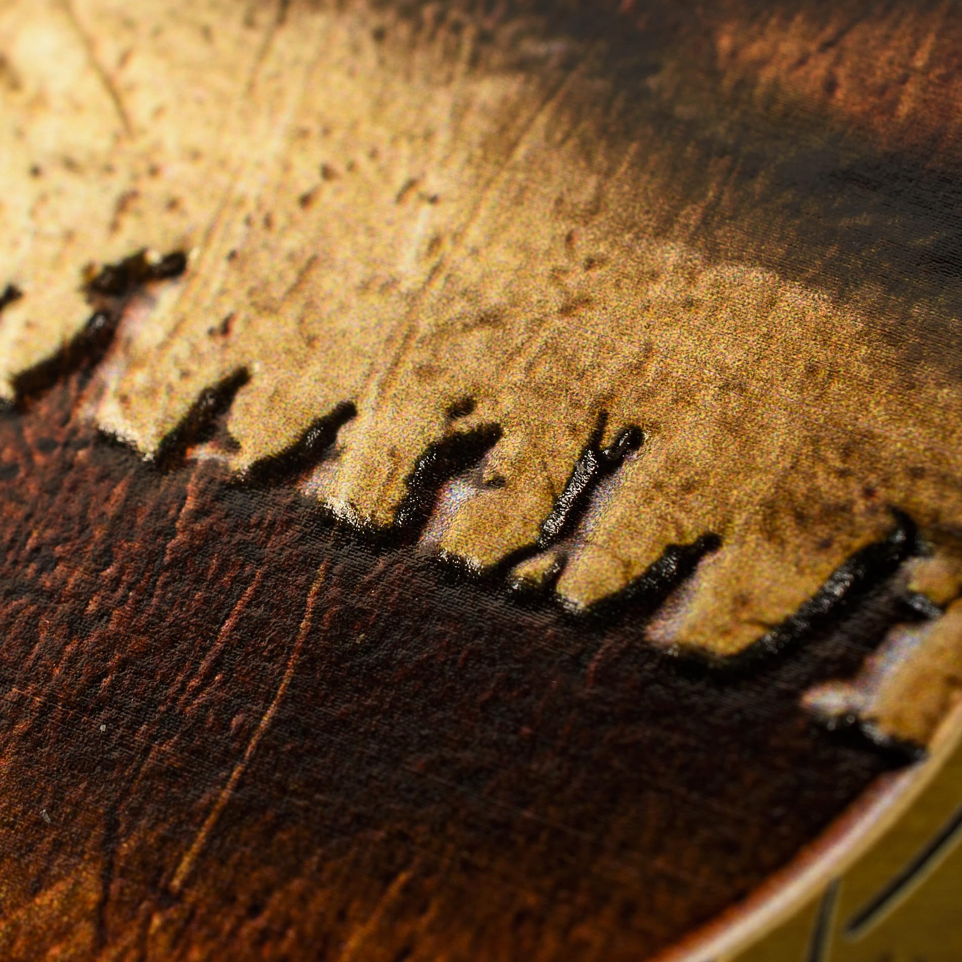 Le Seigneur des Anneaux : Pièce de monnaie de luxe avec présentoir