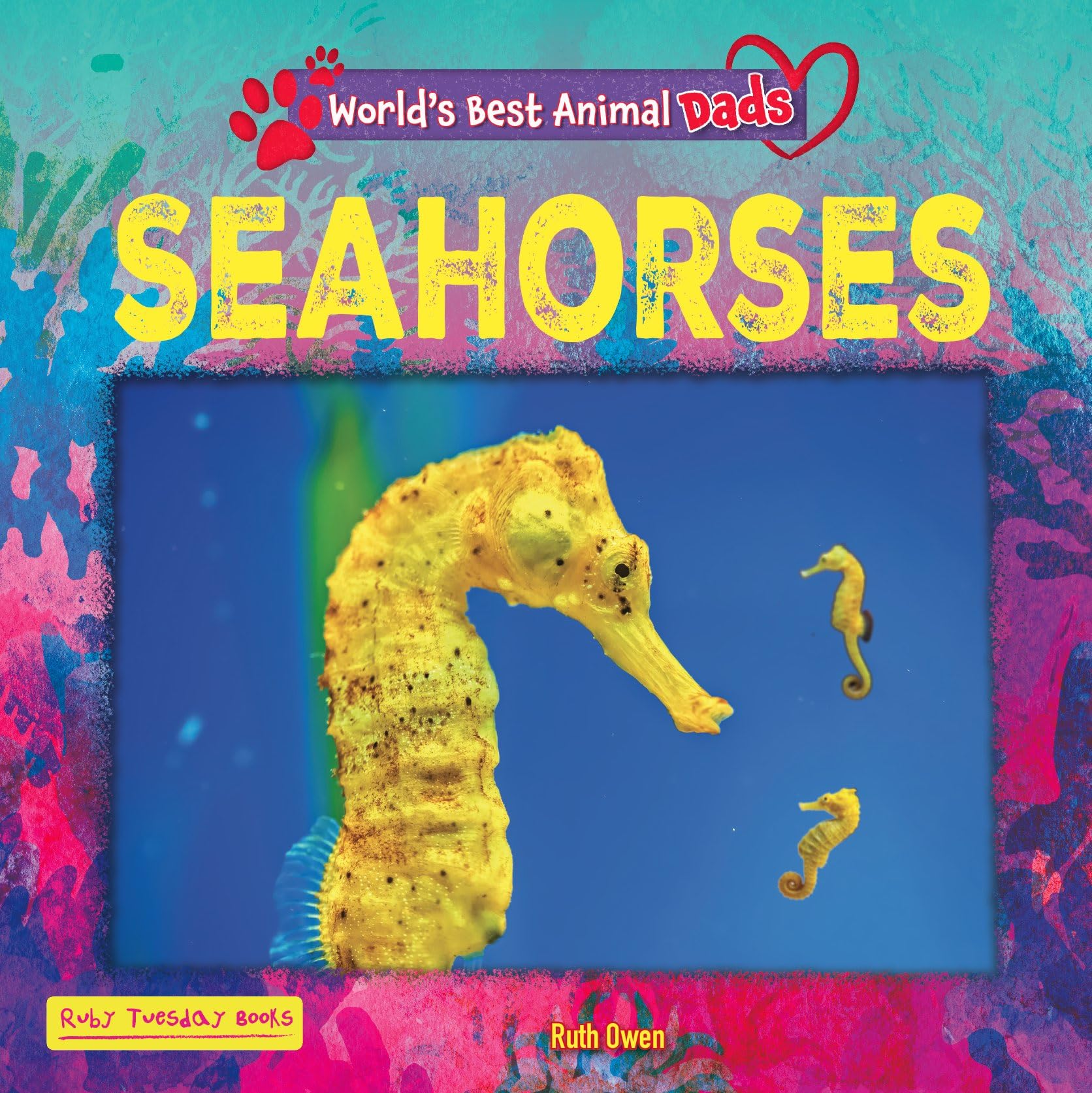 Seahorses - World's Best Animal Dads