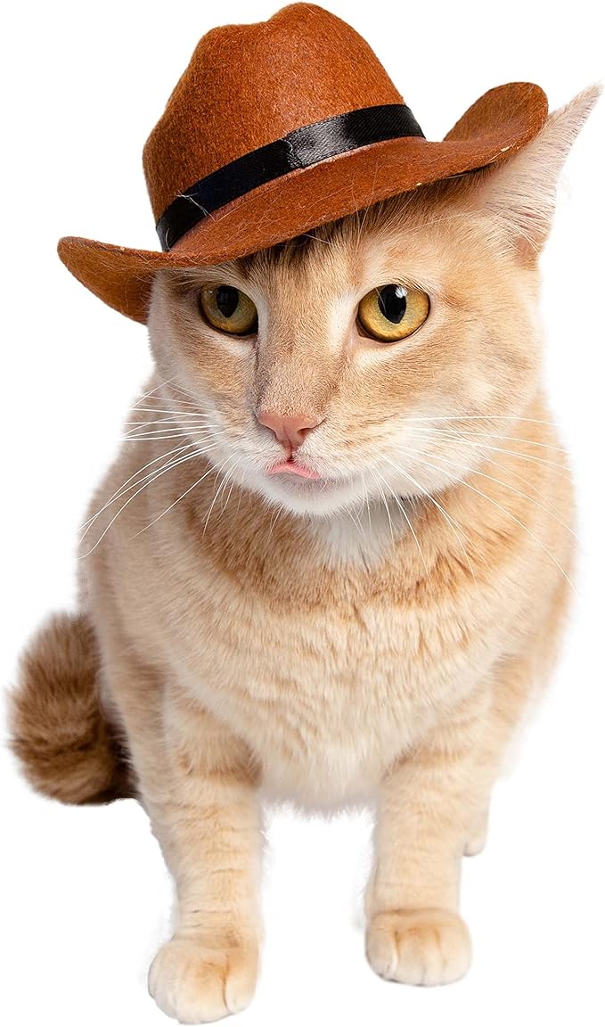 Disfraz Sombrero de Vaquero para Perros y Gatos Pet Krewe miniatura 9