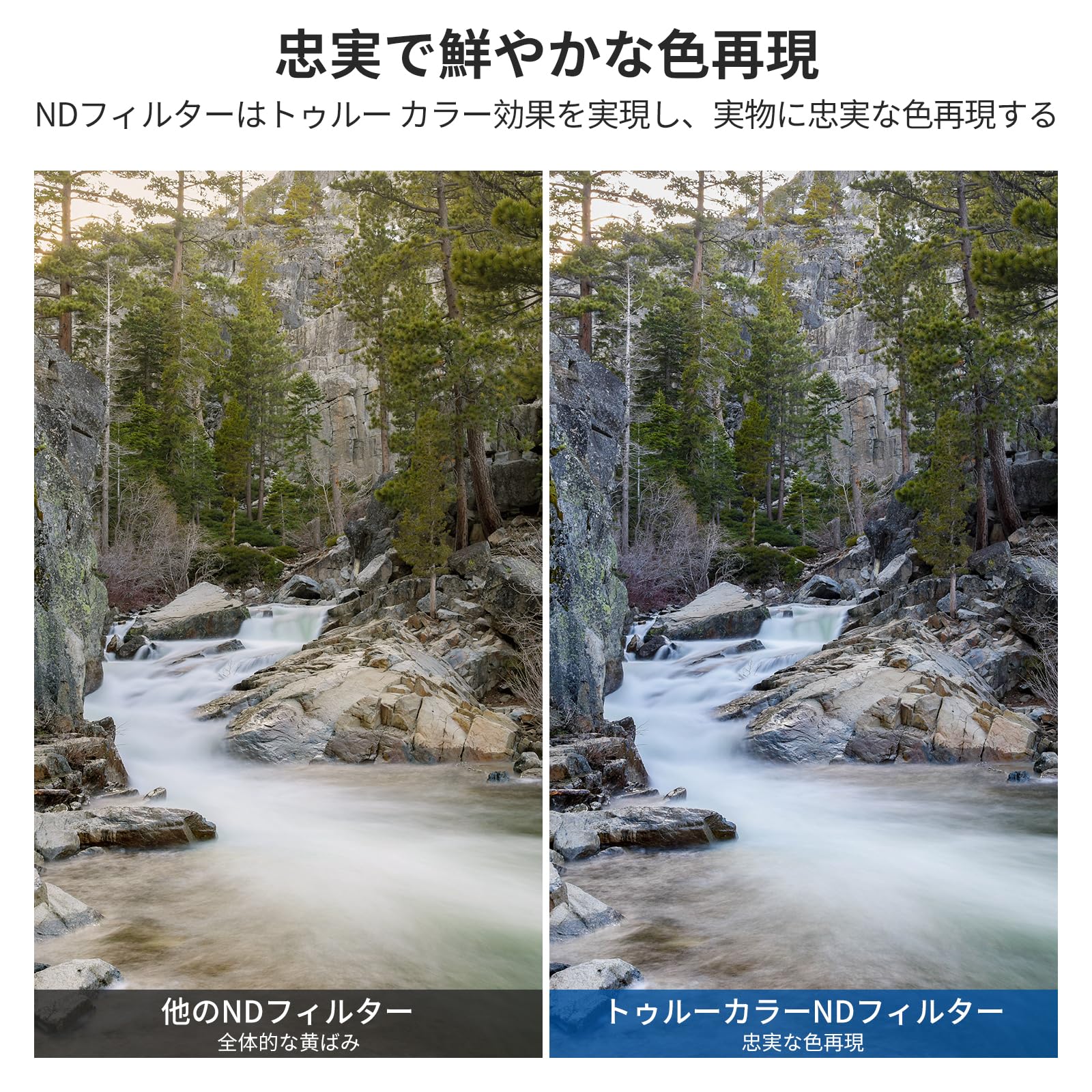 Amazon | NEEWER 77mm トゥルーカラー可変ND2-32とCPLフィルター 2in1