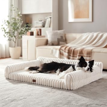 Orthopedic Dog Bed Large 35x25x9.5 Washable Cover Cream