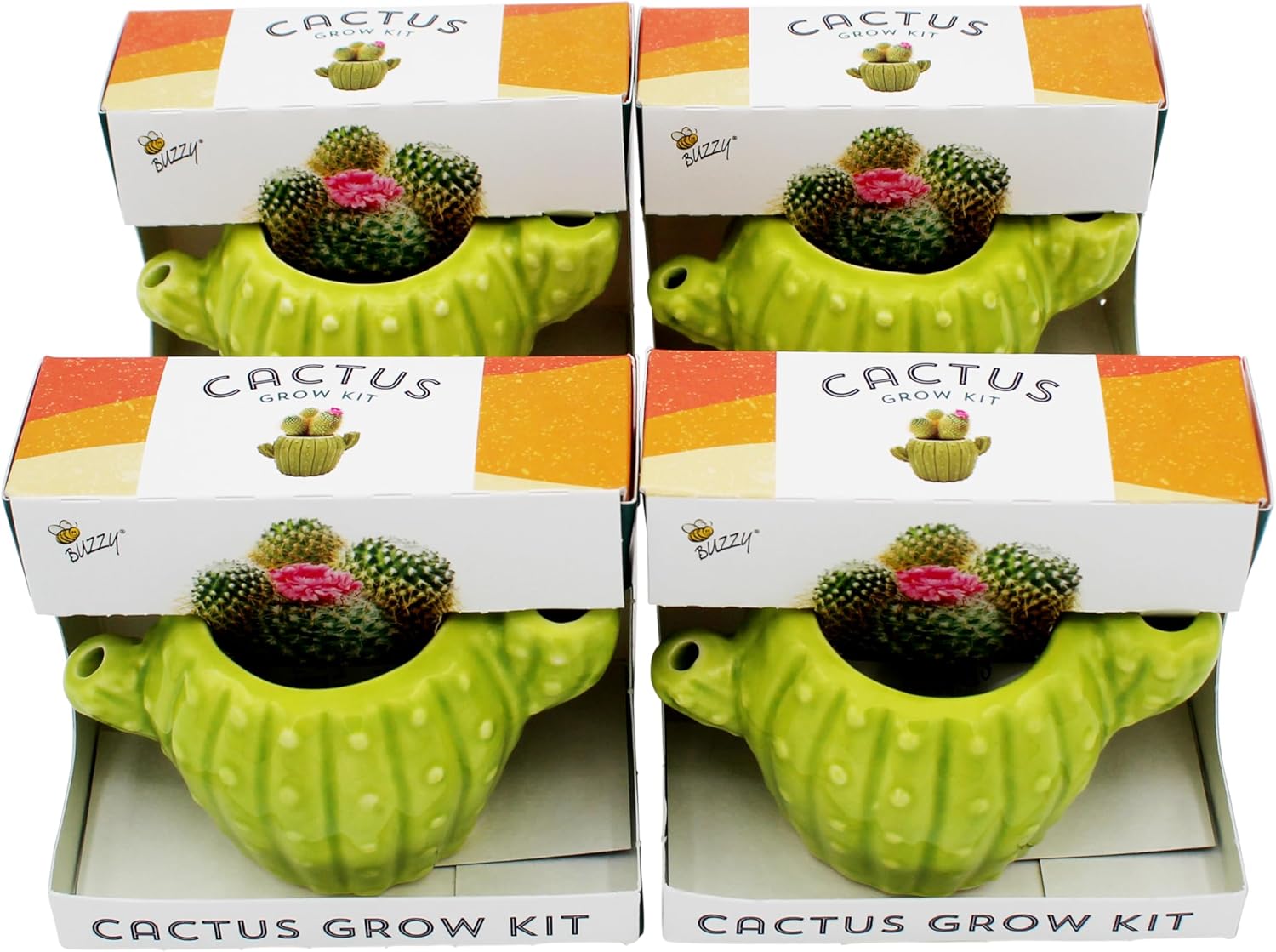 BUZZY Seeds 4pk Mini Cactus Grow Kit with Ceramic Planter, Succulent Seeds, Growing Medium, Easy Instructions, Indoor Gardening Gift for Beginners, Birthdays, Housewarming and Home or Office Decor