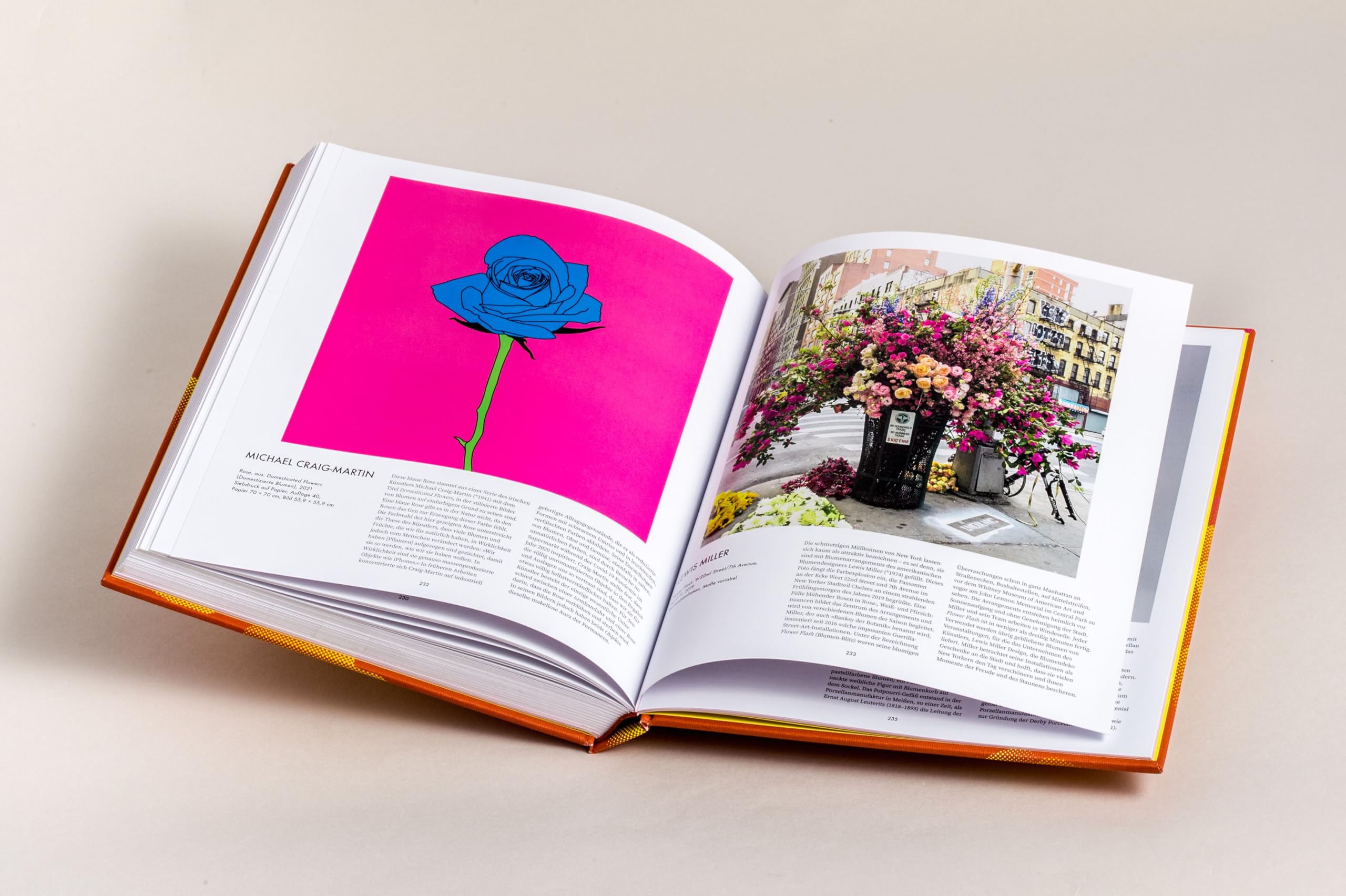 Die Rose: in Fotografie, Grafik, Kunst, Kunsthandwerk und Mode - Opulenter Bildband mit über 200 Rosendarstellungen - ein Muss für alle Rosenfans, Deutscher Gartenbuchpreis Gold (2026)