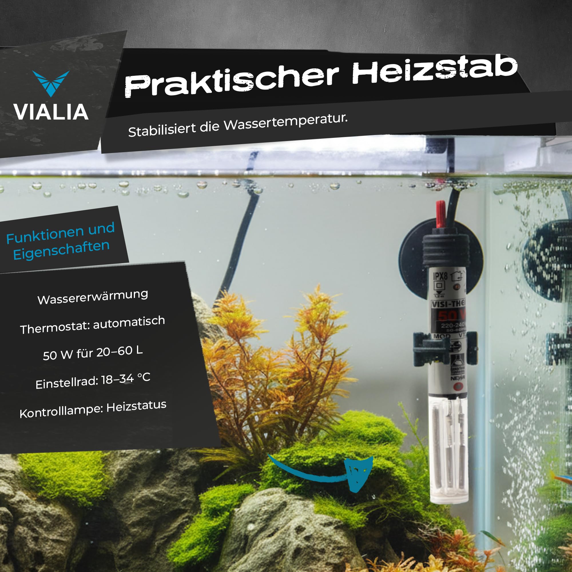 Aquarium Set 60x30x30 cm Weiß, 54 Liter Glasbecken ohne Abdeckung | Starterset inkl. Heizer, Thermometer, Futter & Wasseraufbereiter, Floatglas mit Diamantschliff für Süß- & Meerwasser