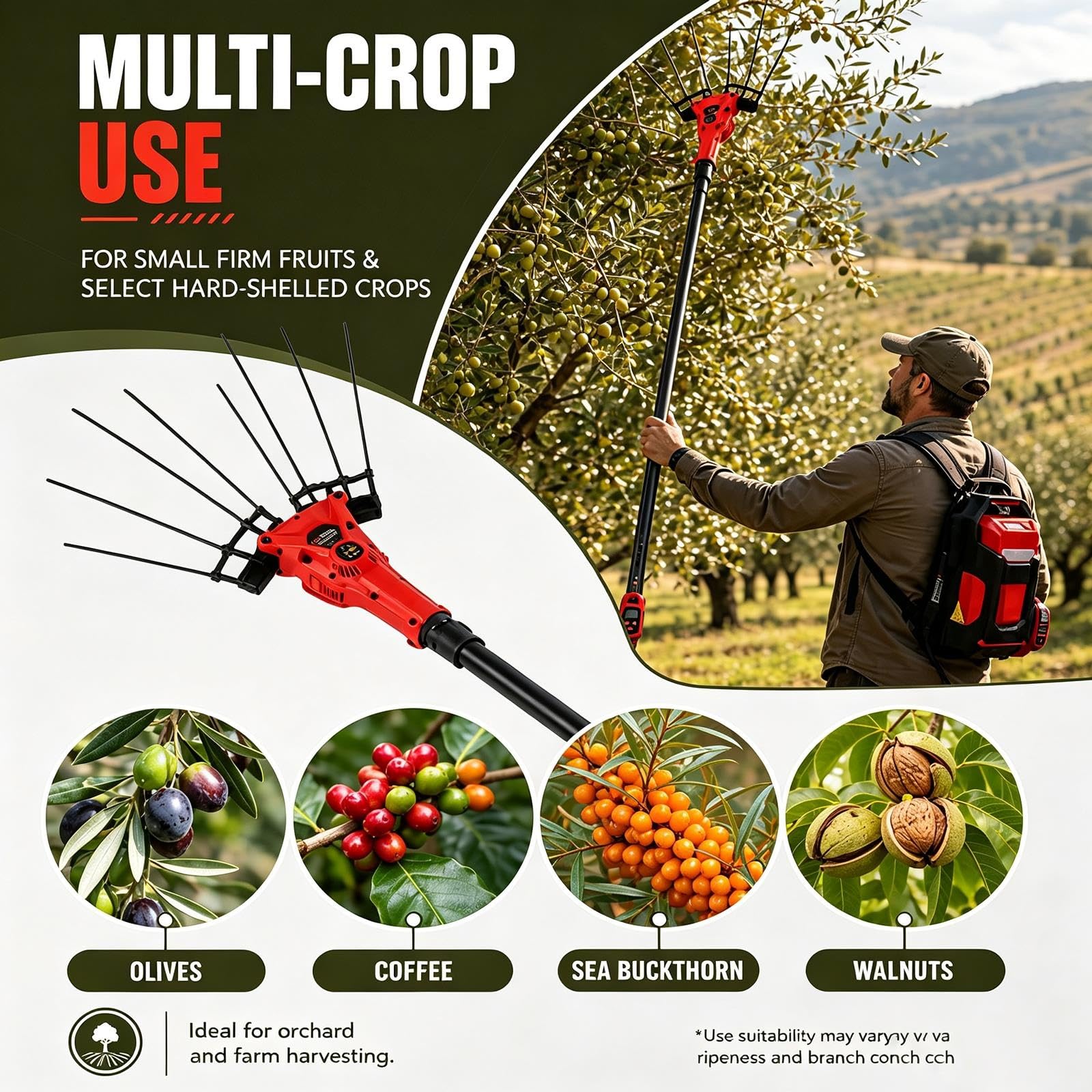 Abbacchiatore Elettrico Per Olives, Asta Telescopica Per La Raccolta Della