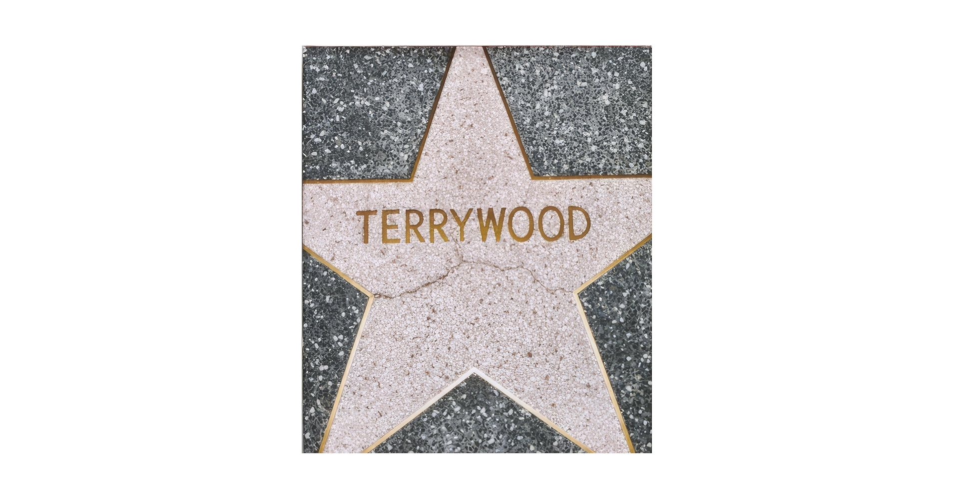 入手困難 TERRYWOOD アートブック TERRY RICHARDSON Terry Richardson – Terrywood – www.photobookstore.nl