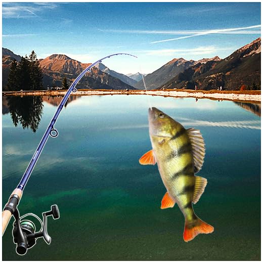 Fishing Baron - realistic fishing simulator.