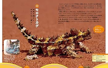 【希少·美品】長沼毅の世界は理科でできている全6巻理科が100倍おもしろくなる! Amazon.co.jp: 長沼毅の世界は理科でできている動物 : 本